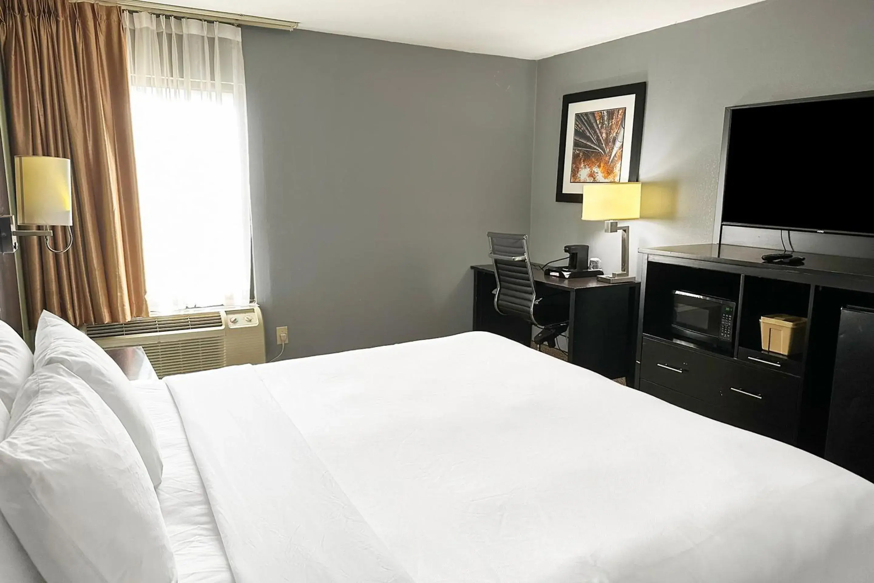 Bedroom, Bed in OYO Hotel Rome West GA Bedroom, Bed in OYO Hotel Rome West GA