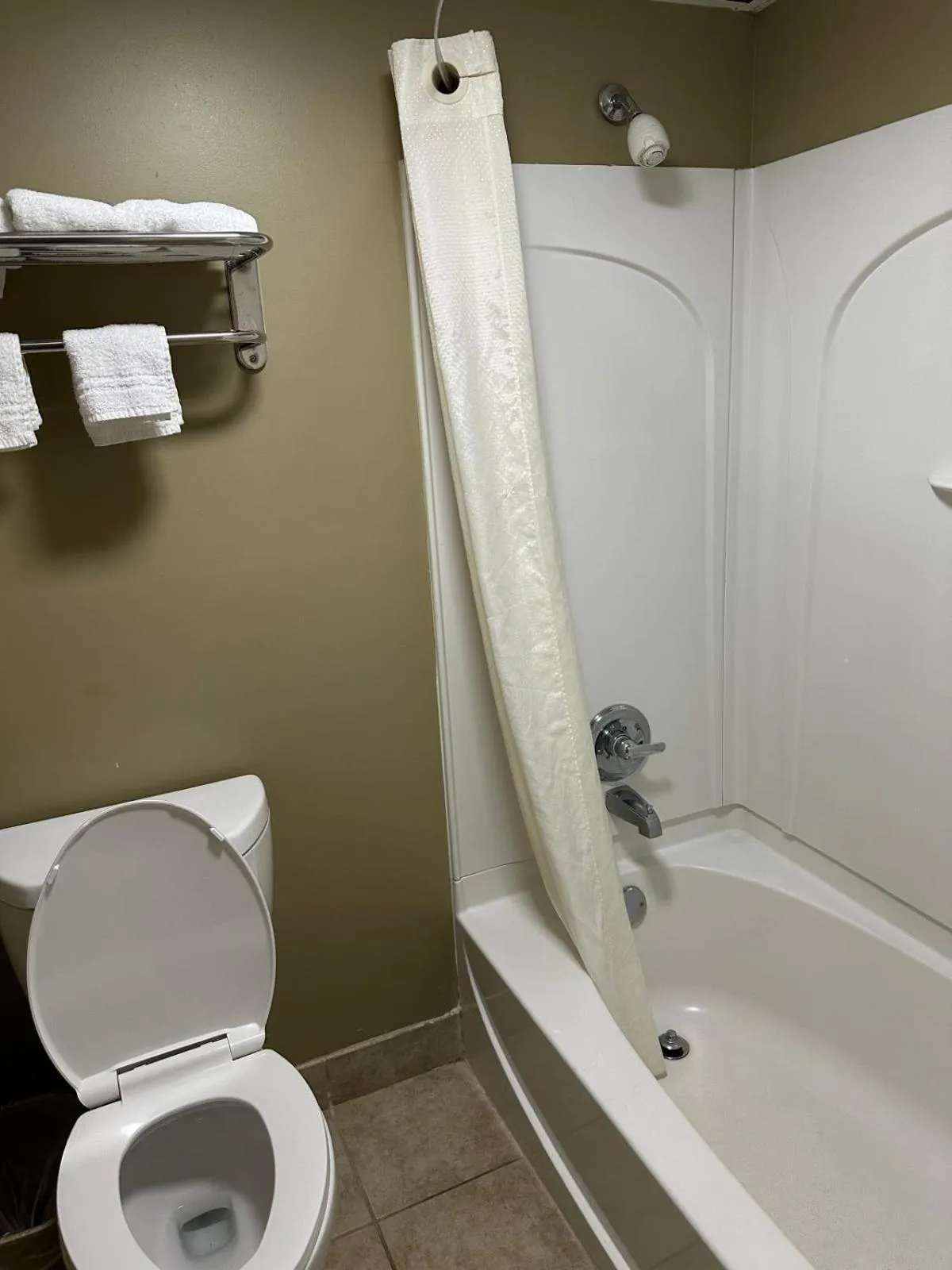 Rodeway Inn Stone Mountain