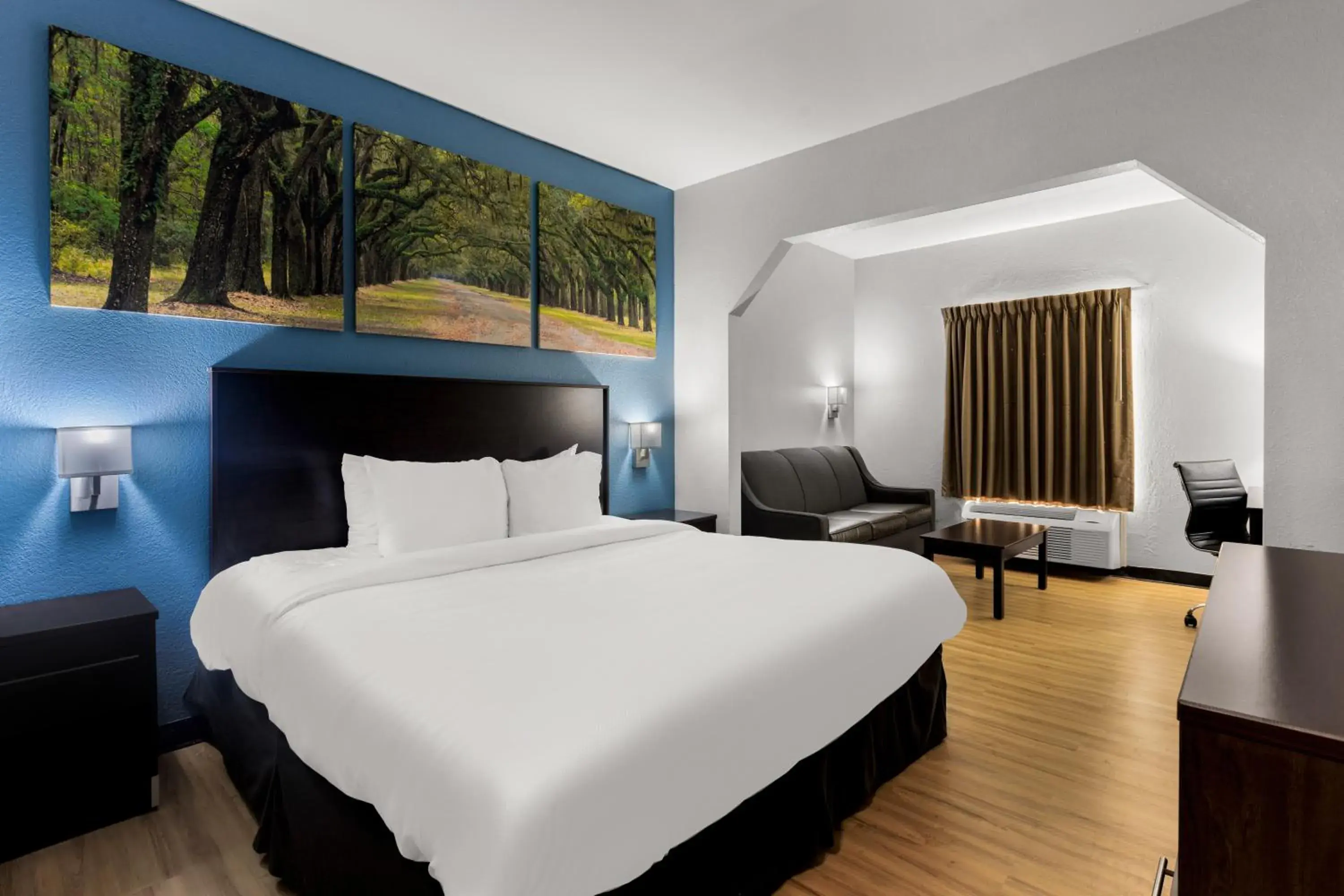 One Room Suite with Sofa bed/Roll-In Shower - Disability Access/Non Smoking in Clarion Pointe Hinesville near Fort Stewart One Room Suite with Sofa bed/Roll-In Shower - Disability Access/Non Smoking in Clarion Pointe Hinesville near Fort Stewart