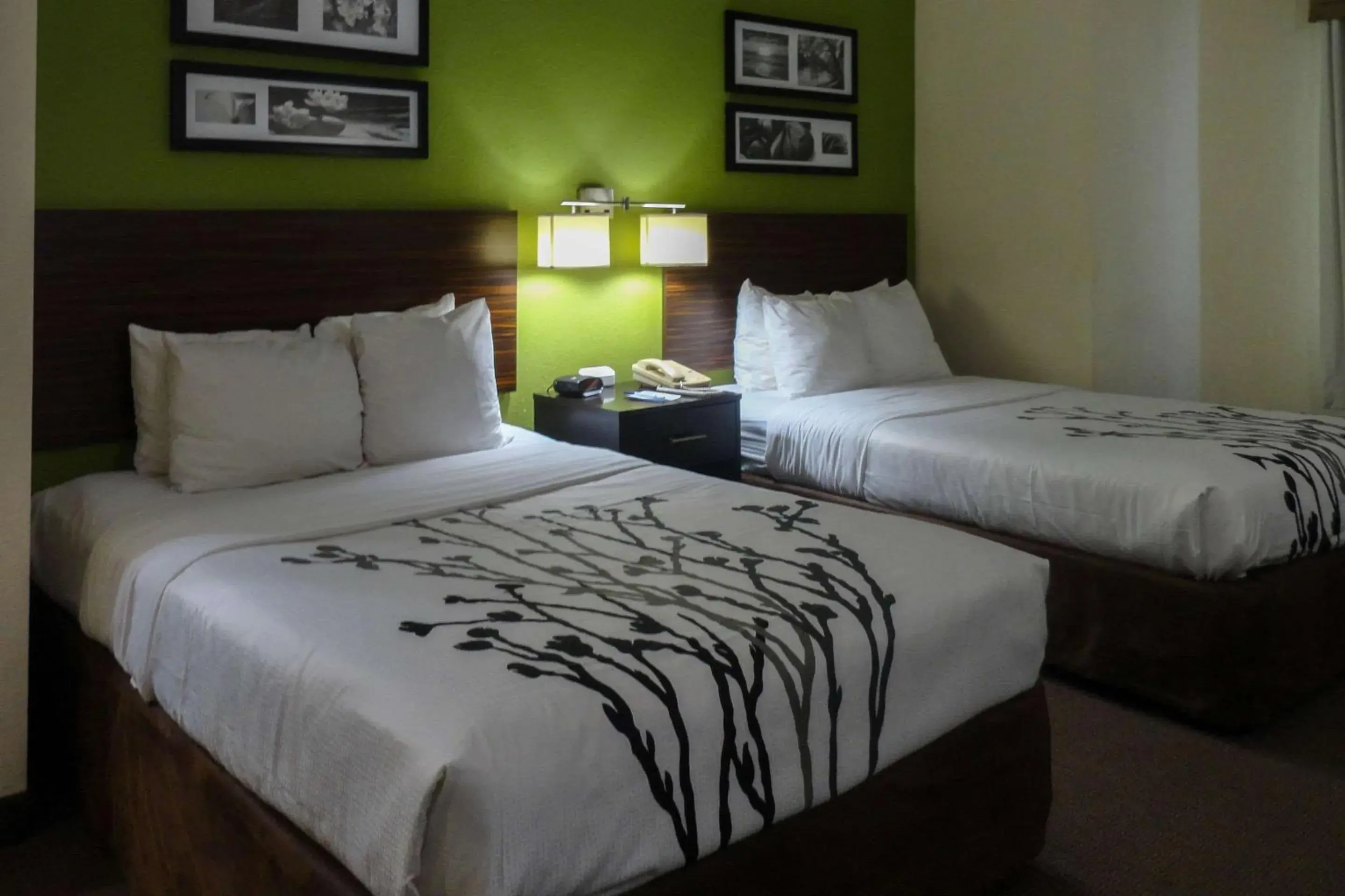 Bedroom, Bed in Sleep Inn & Suites Near Columbus - State University Area Bedroom, Bed in Sleep Inn & Suites Near Columbus - State University Area
