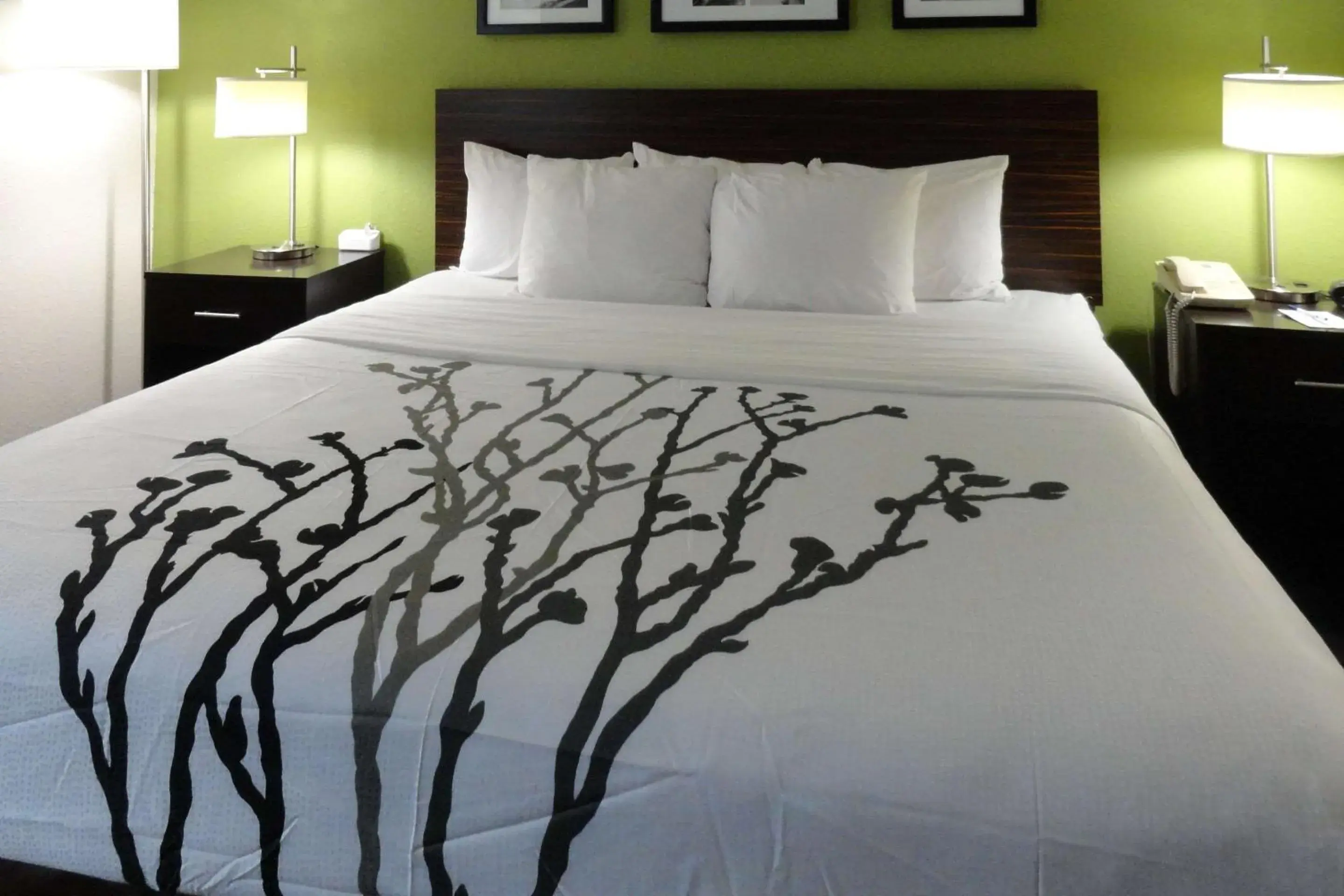 Bedroom, Bed in Sleep Inn & Suites Near Columbus - State University Area Bedroom, Bed in Sleep Inn & Suites Near Columbus - State University Area