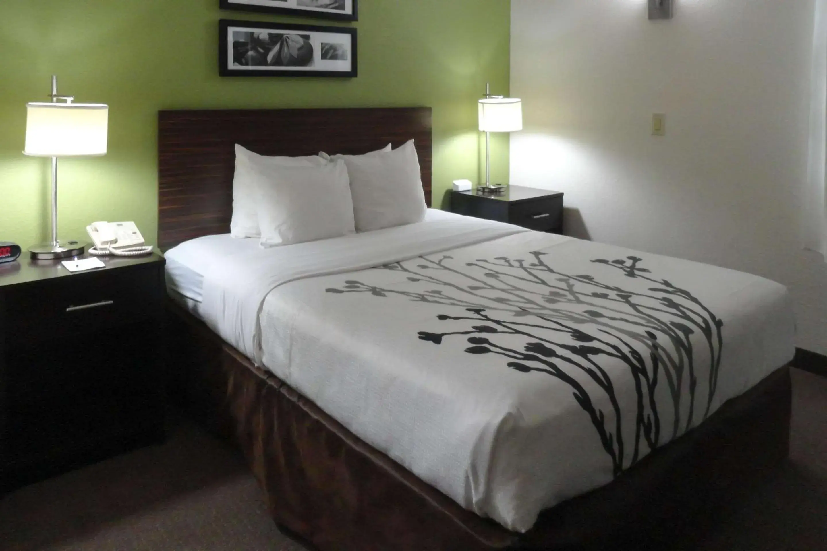 Bedroom, Bed in Sleep Inn & Suites Near Columbus - State University Area Bedroom, Bed in Sleep Inn & Suites Near Columbus - State University Area