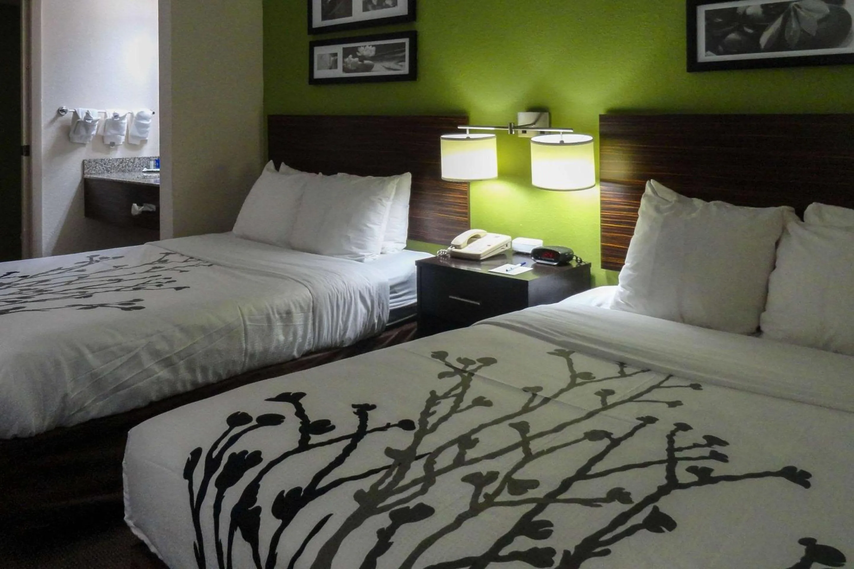 Bedroom, Bed in Sleep Inn & Suites Near Columbus - State University Area