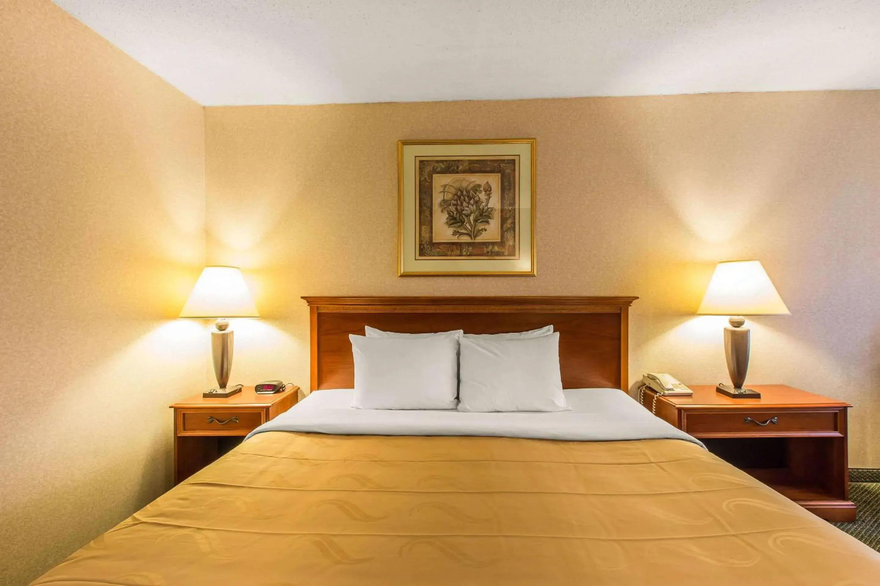 Bedroom, Bed in Quality Inn & Suites McDonough South I-75 Bedroom, Bed in Quality Inn & Suites McDonough South I-75