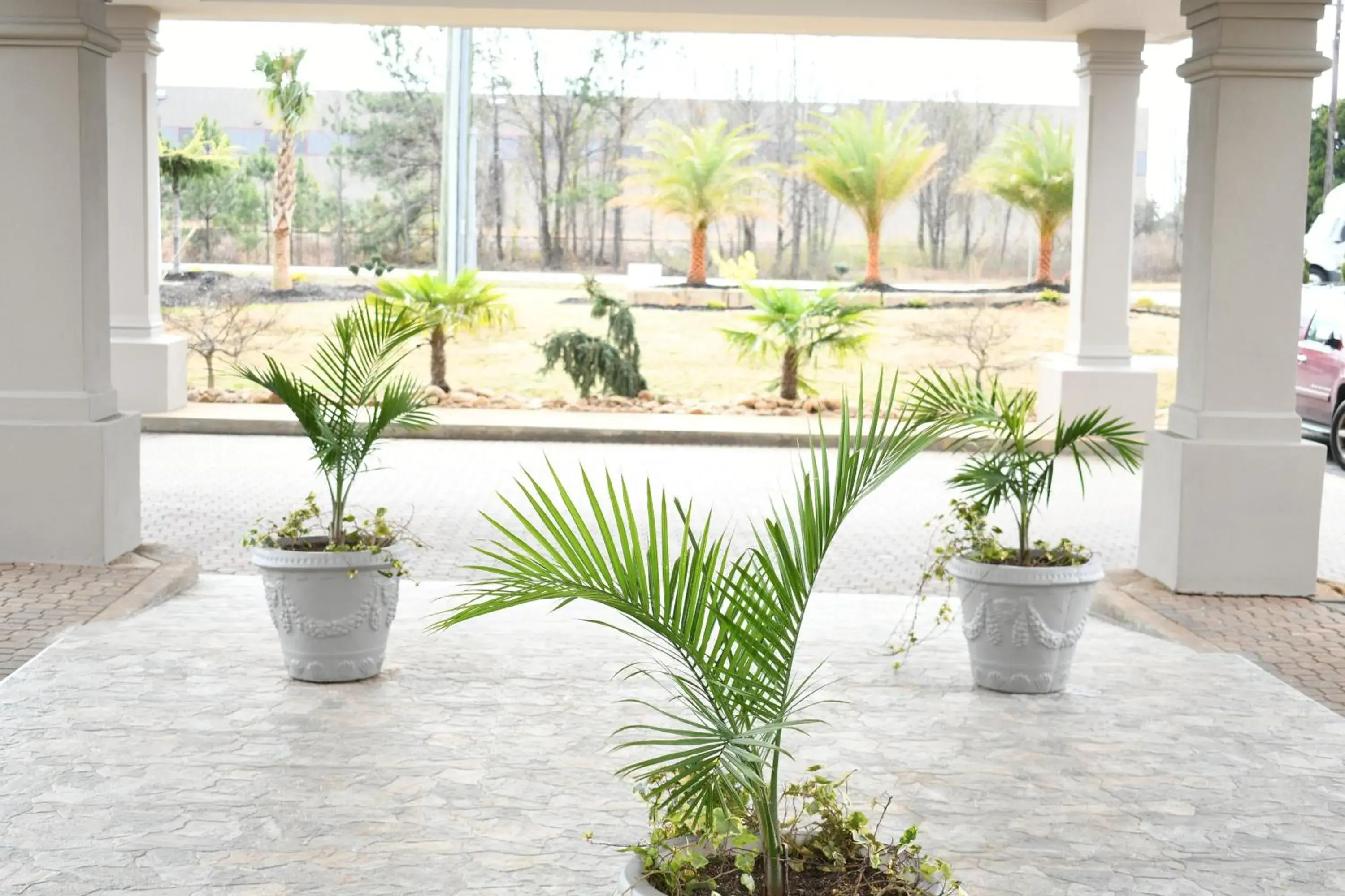Lobby or reception in Quality Inn & Suites McDonough South I-75 Lobby or reception in Quality Inn & Suites McDonough South I-75