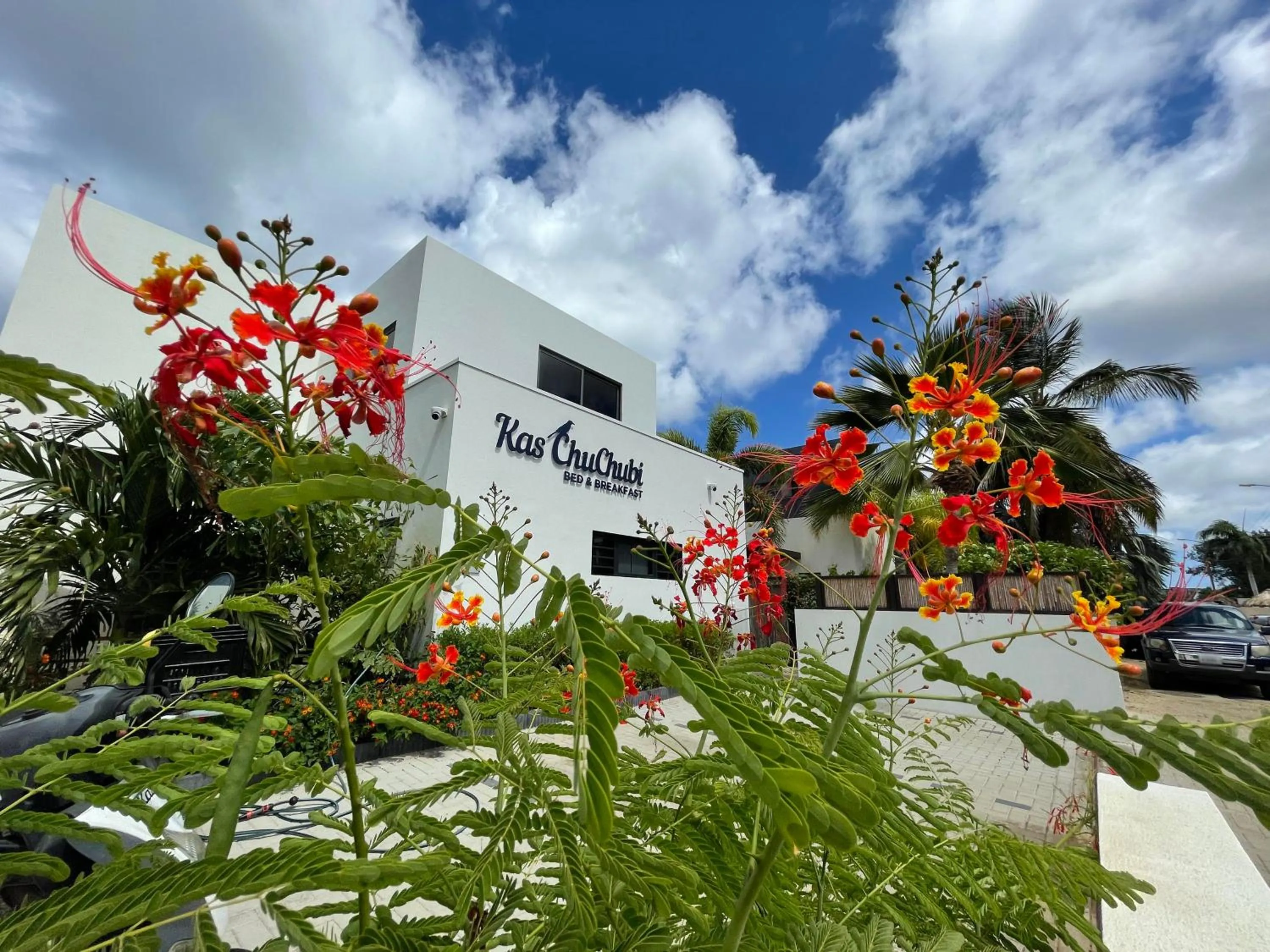 Toilet, Property Building in B&B Kas ChuChubi