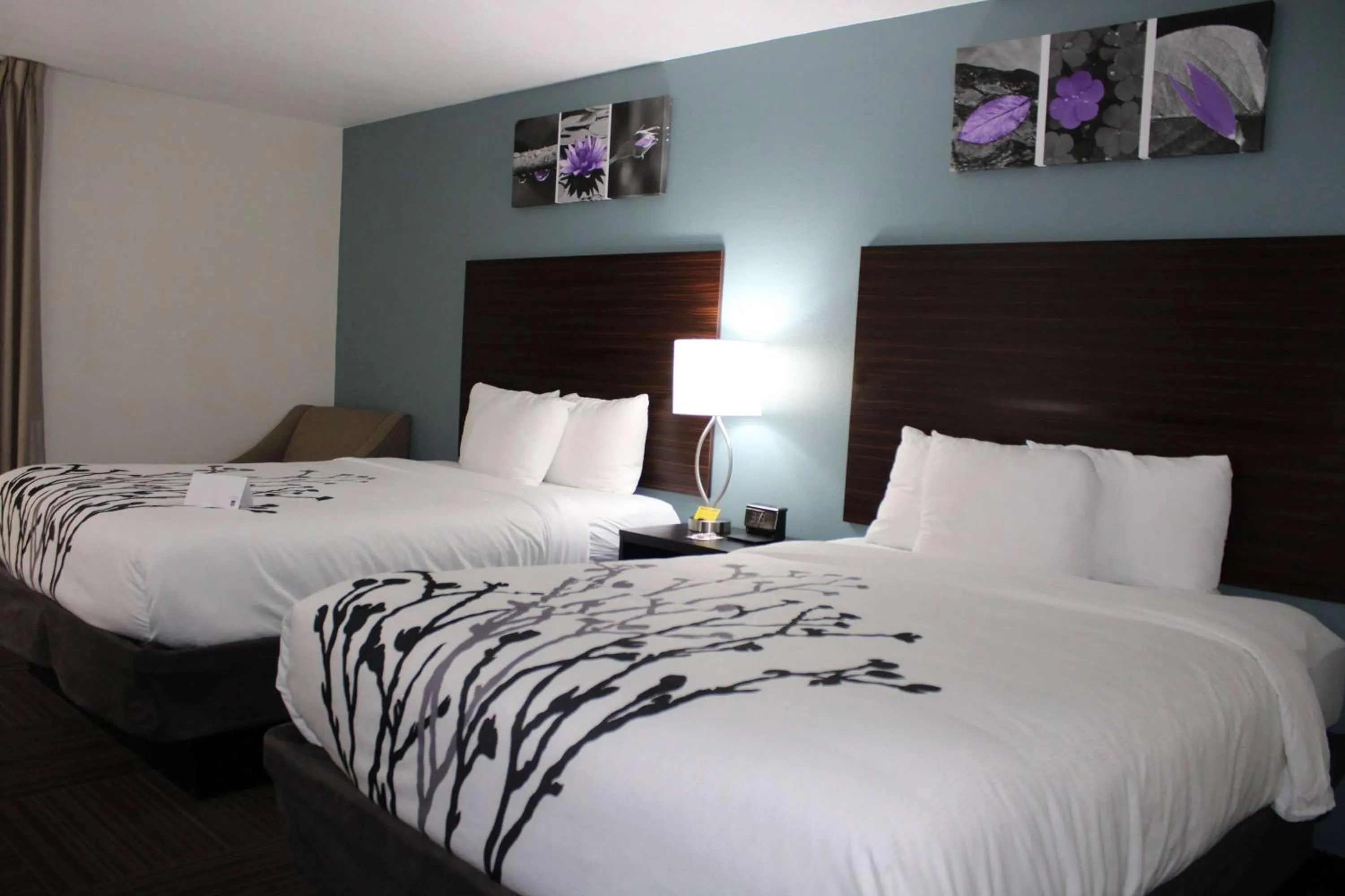 Photo of the whole room, Bed in Sleep Inn & Suites
