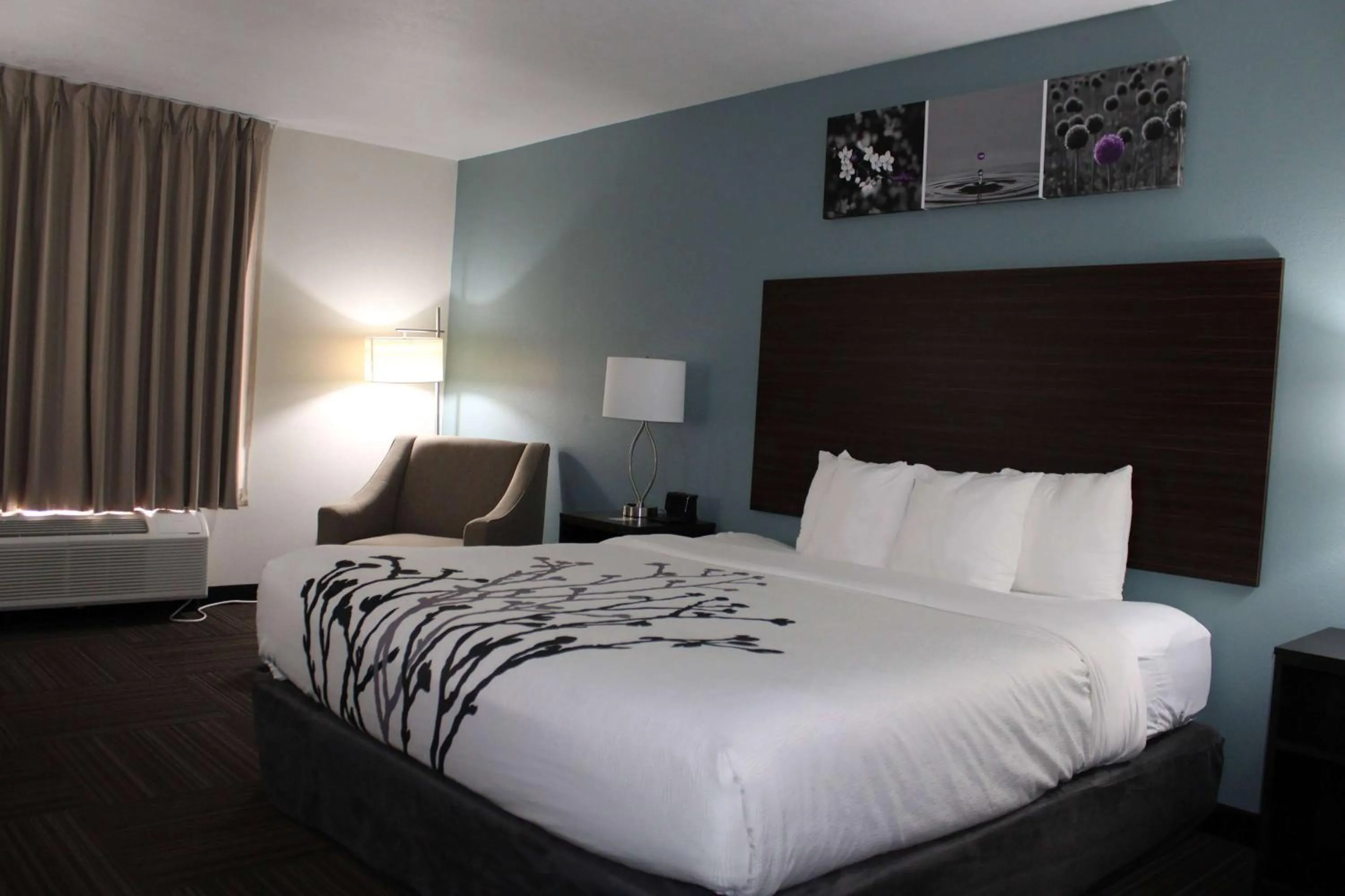 Photo of the whole room, Bed in Sleep Inn & Suites
