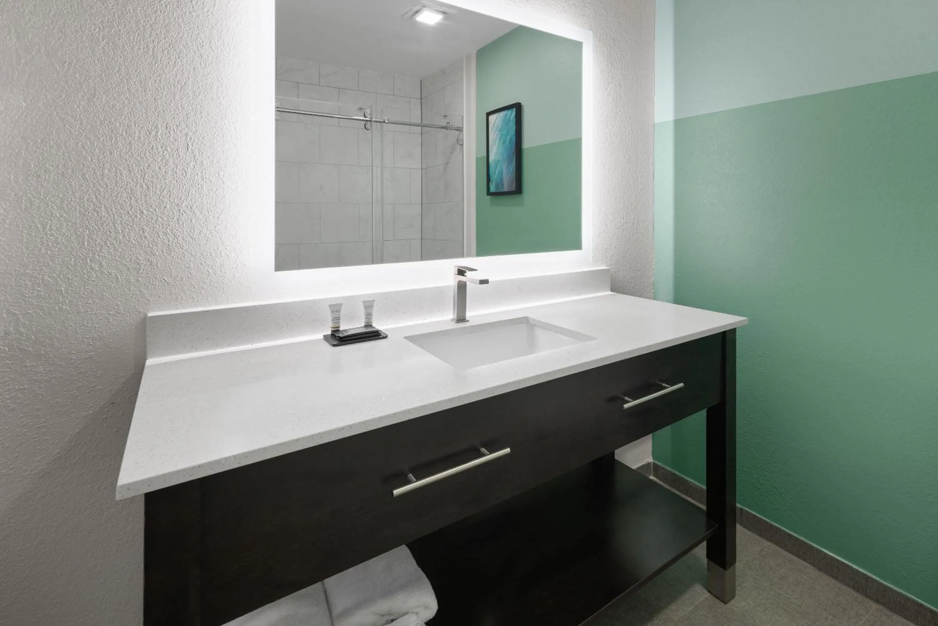 Bathroom in Wingate by Wyndham Kings Bay Naval Base I-95