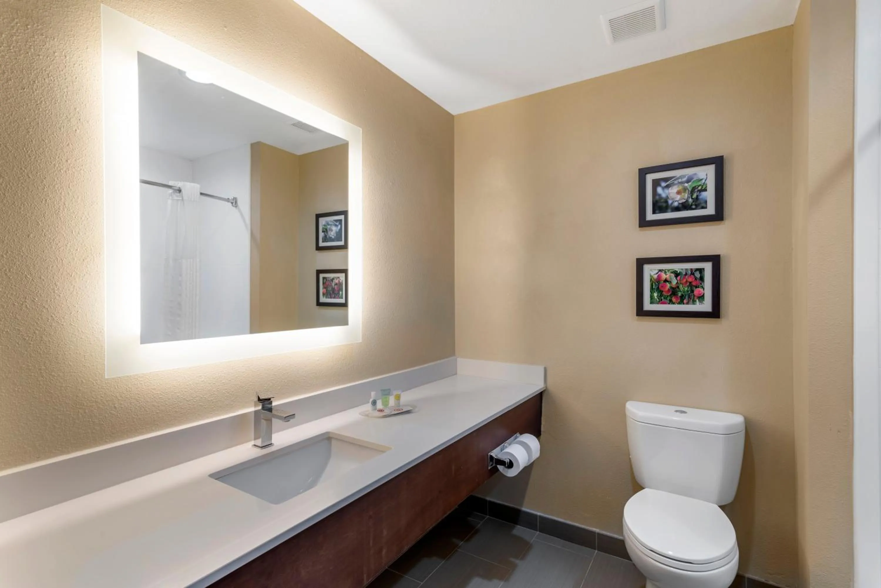 Bathroom in Comfort Suites Locust Grove Atlanta South