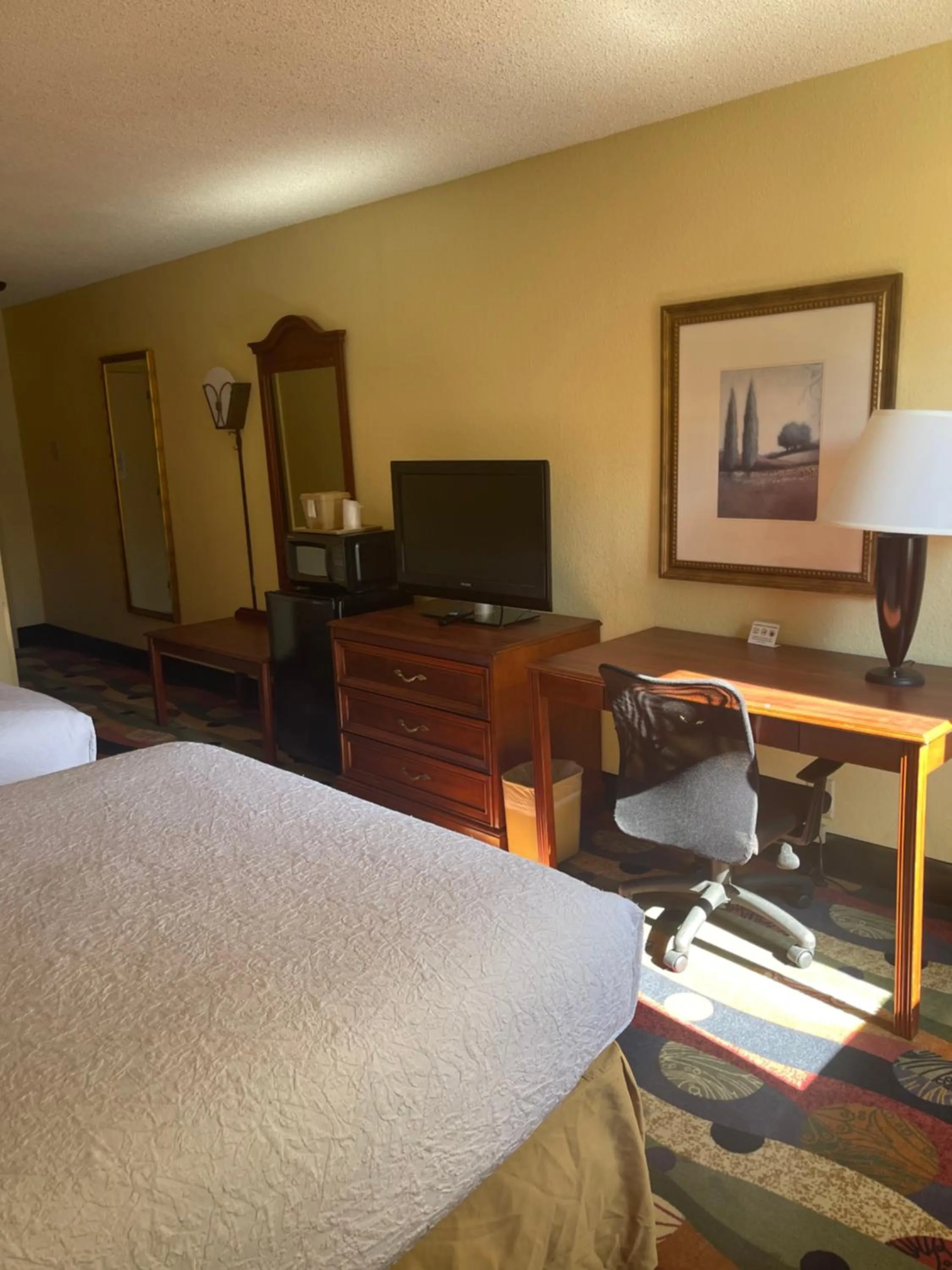 TV and multimedia, Bed in Budgetel Inn & Suites Atlanta