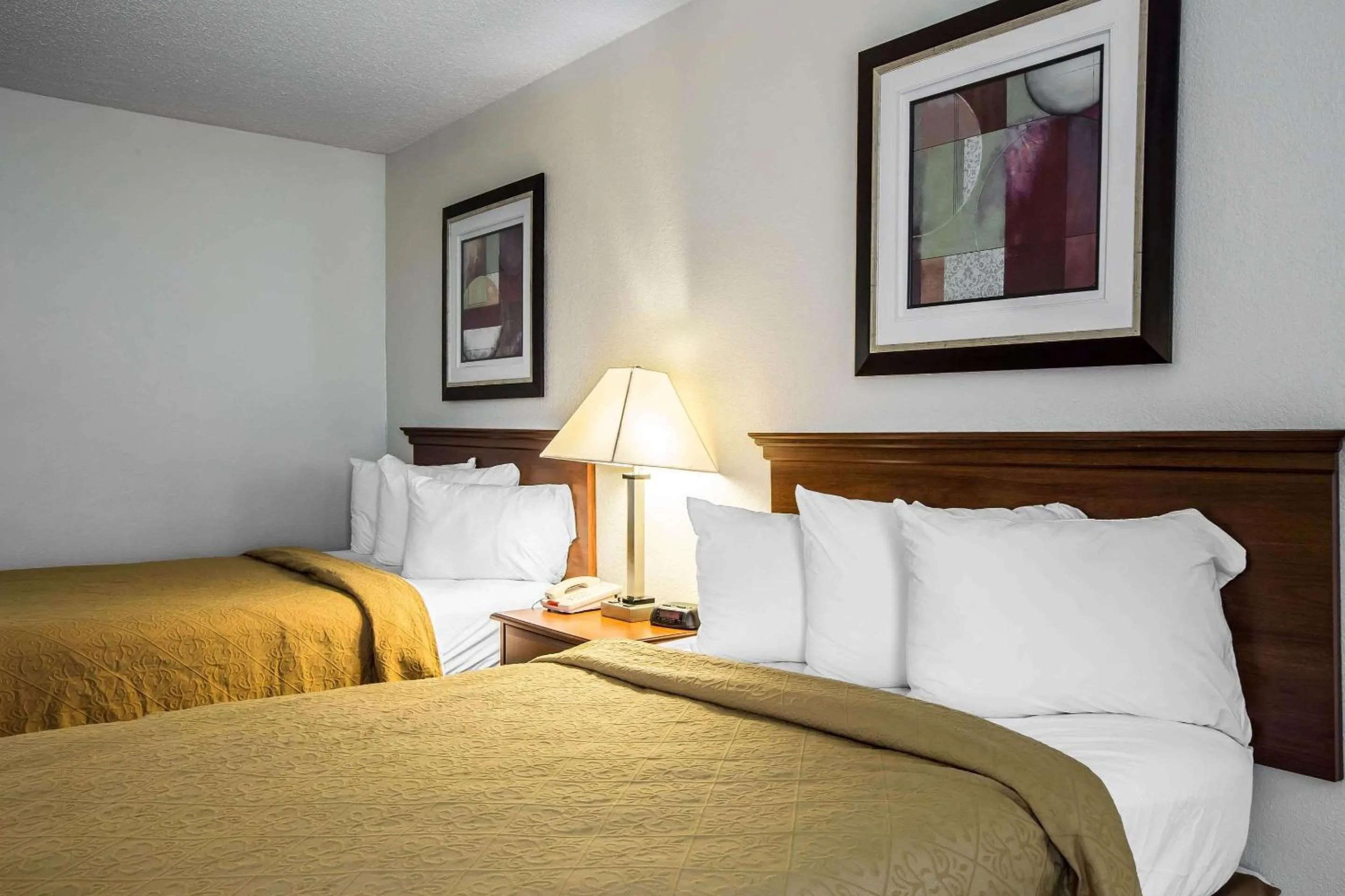 Photo of the whole room, Bed in Quality Inn Madison