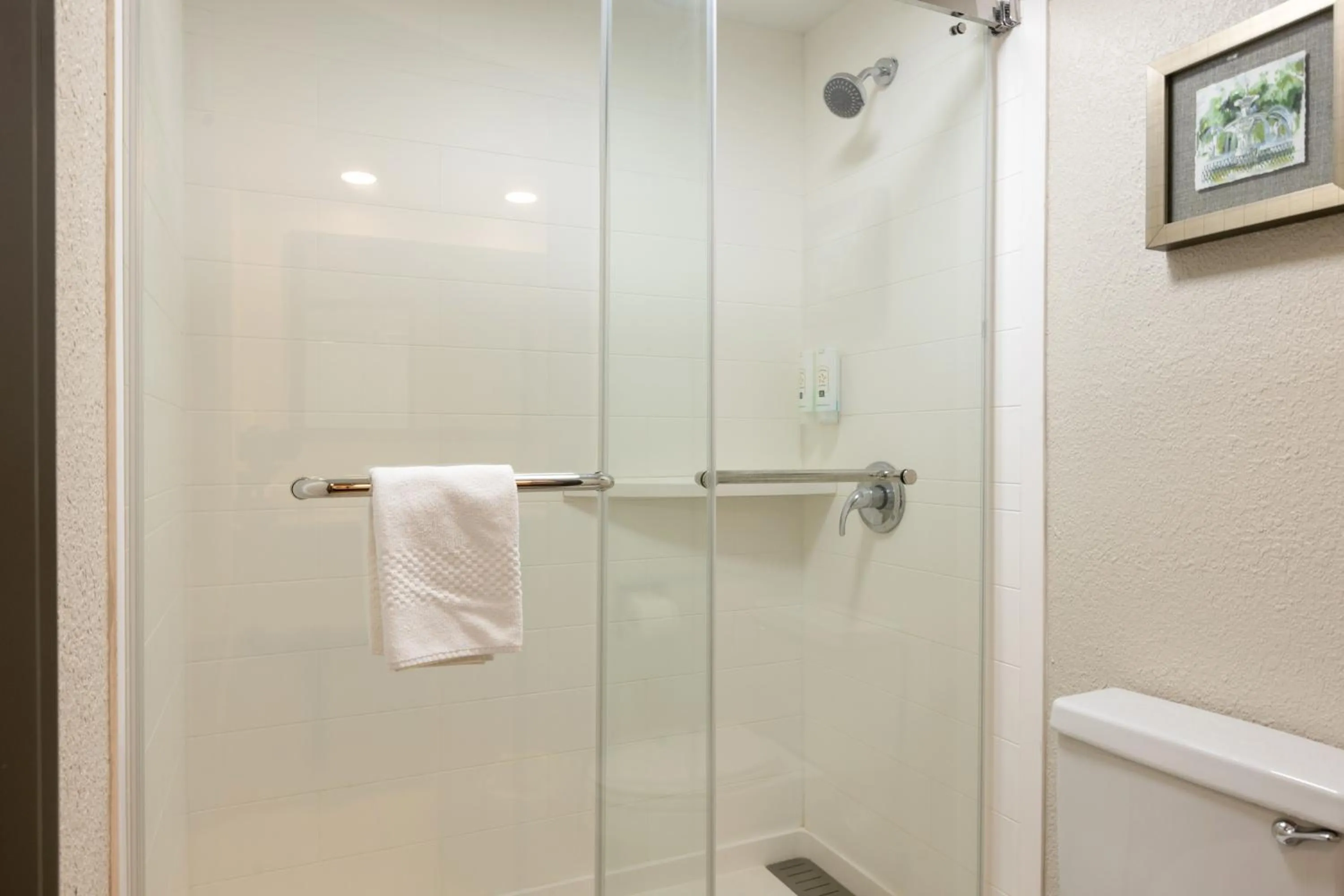 Shower in Quality Inn Pooler - Savannah I-95