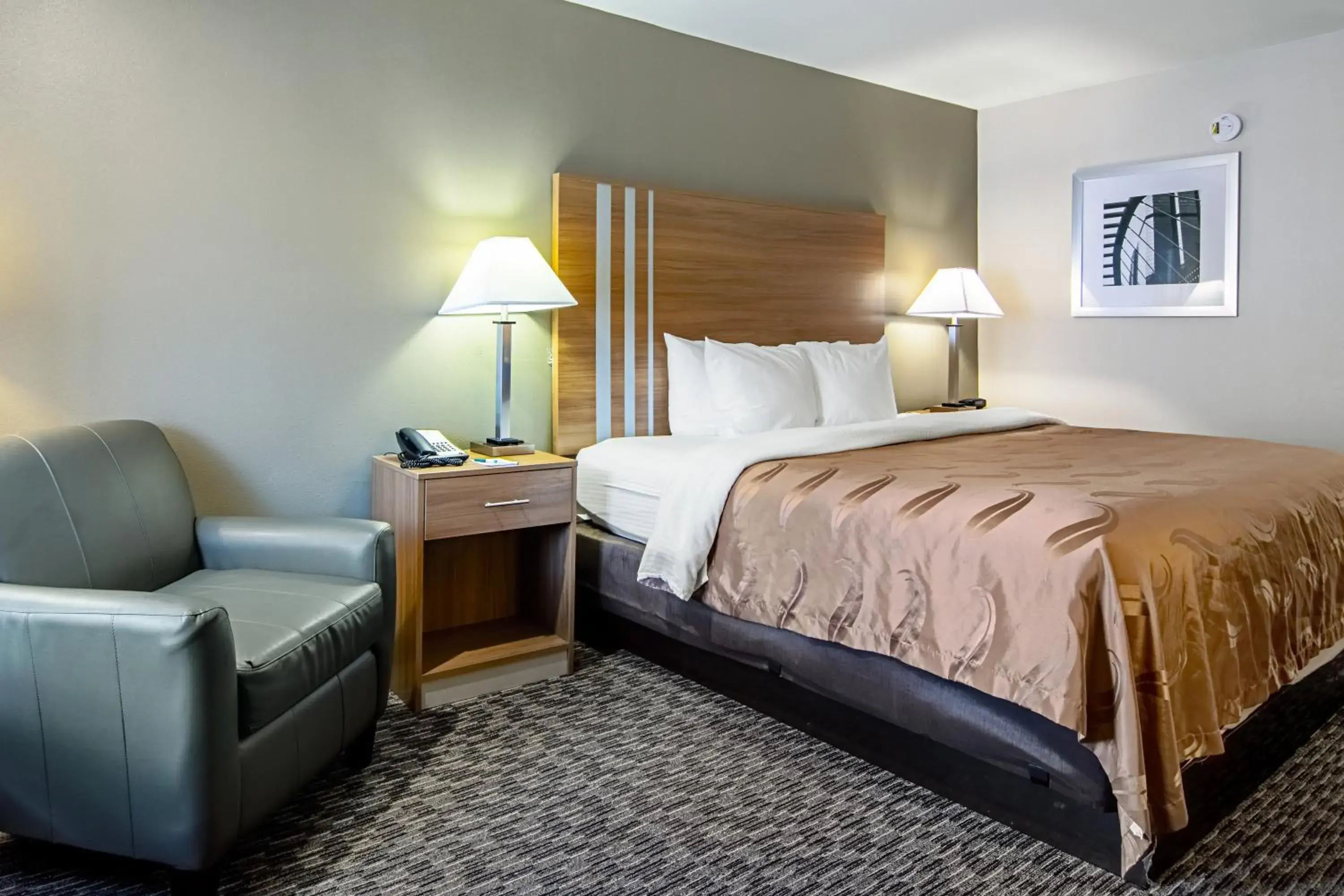 Photo of the whole room, Bed in Quality Inn Lagrange East I-85 Photo of the whole room, Bed in Quality Inn Lagrange East I-85