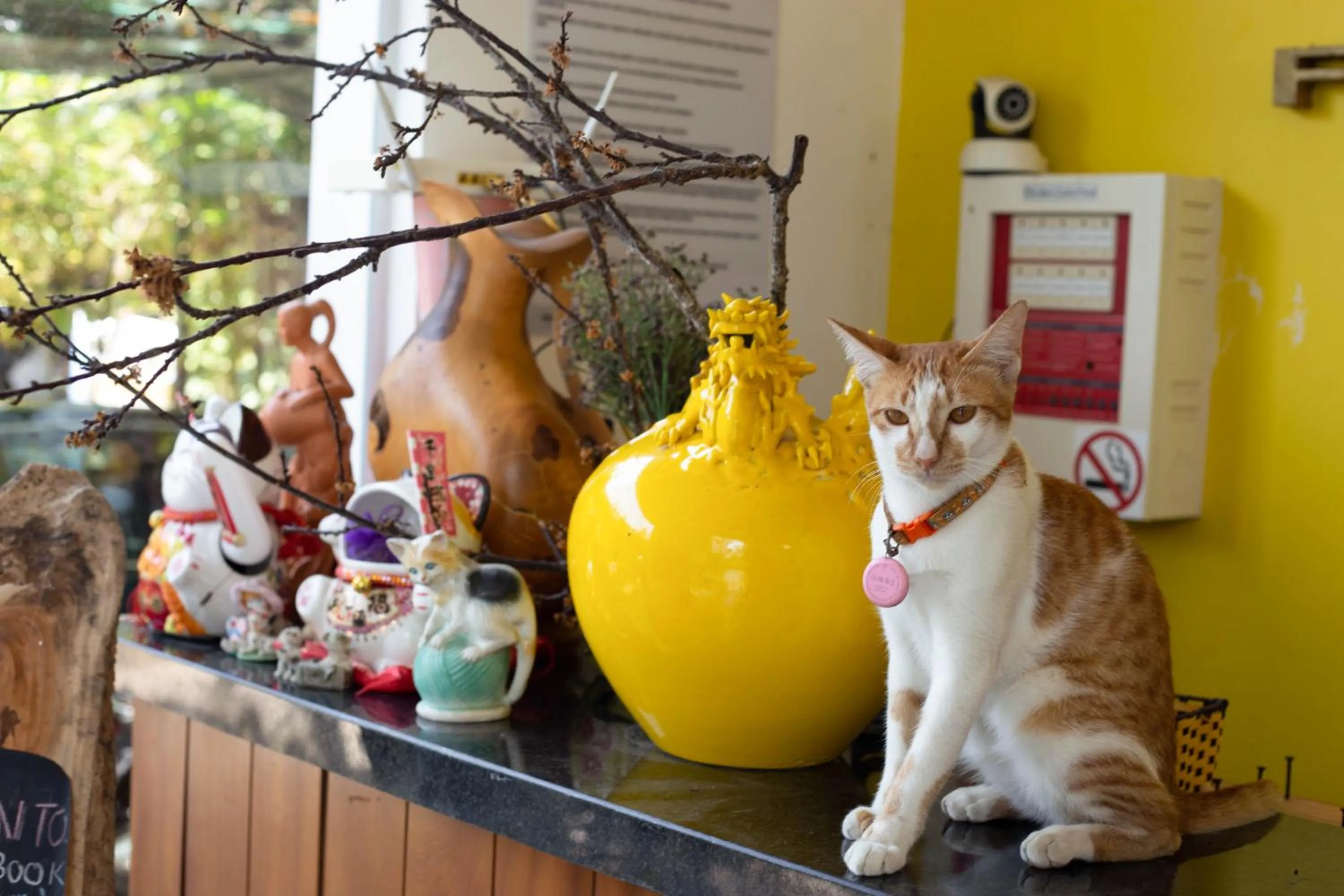 Lobby or reception in Hoi An Fairy Garden Villa