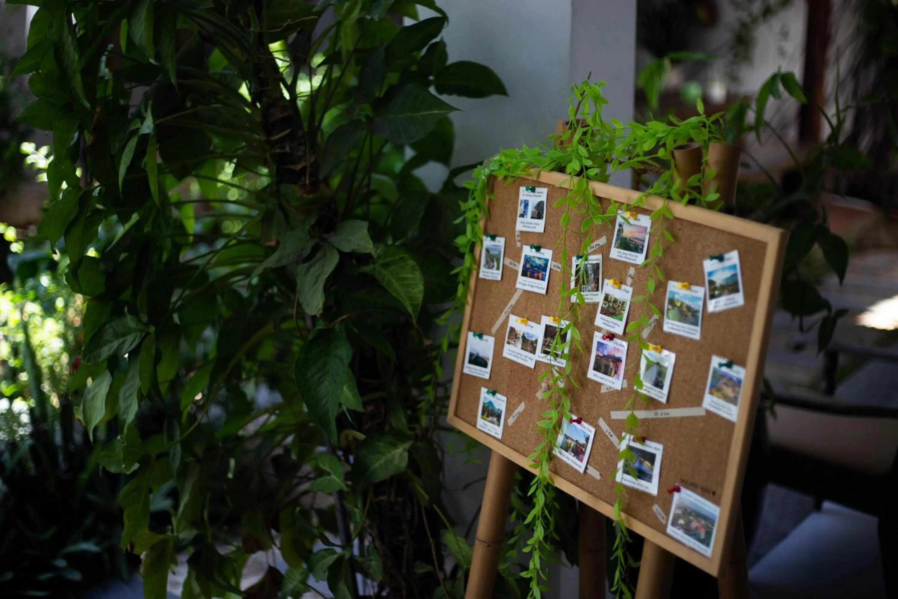 Business facilities in Hoi An Fairy Garden Villa