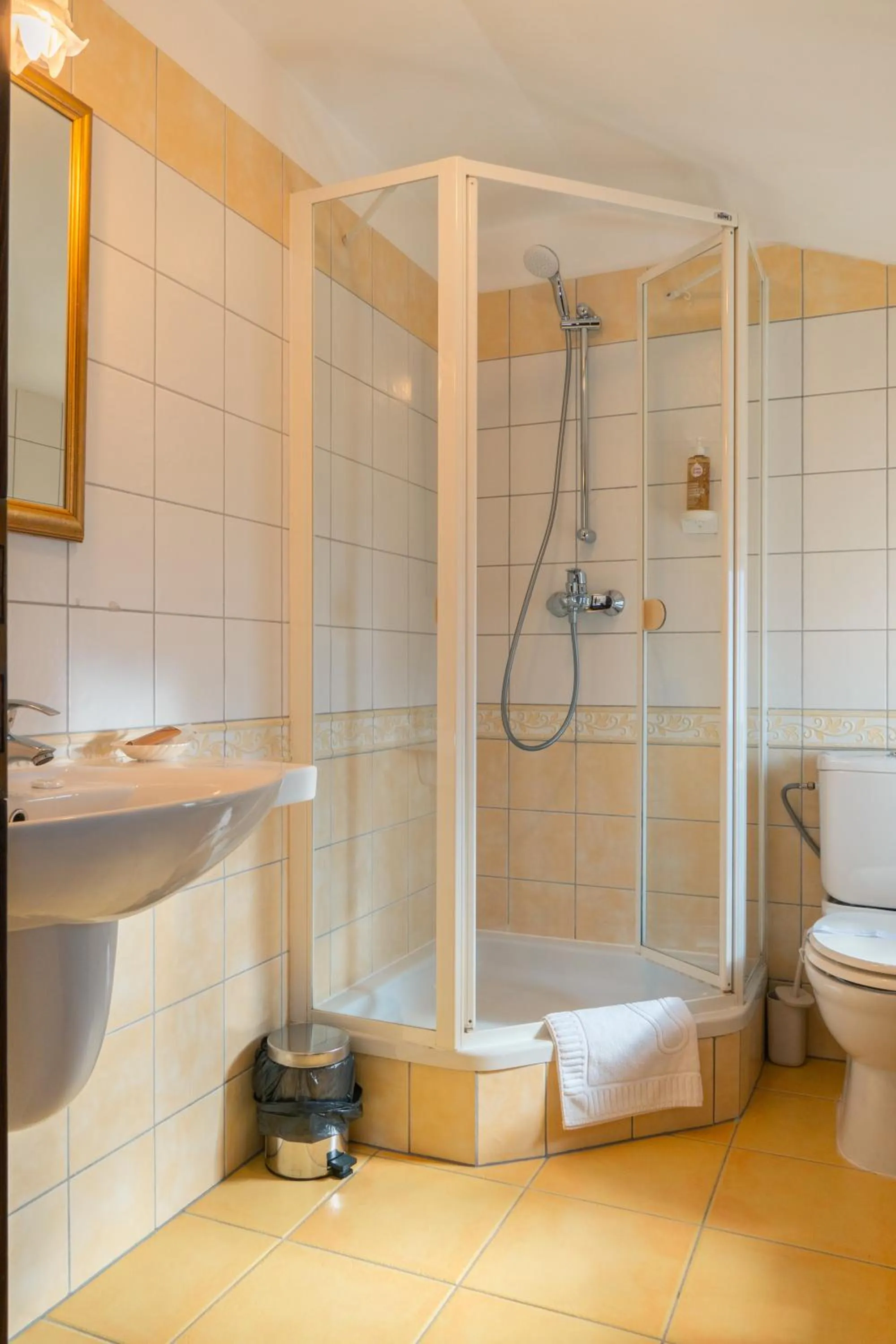 Casa del Sole Boutique Hotel Timisoara