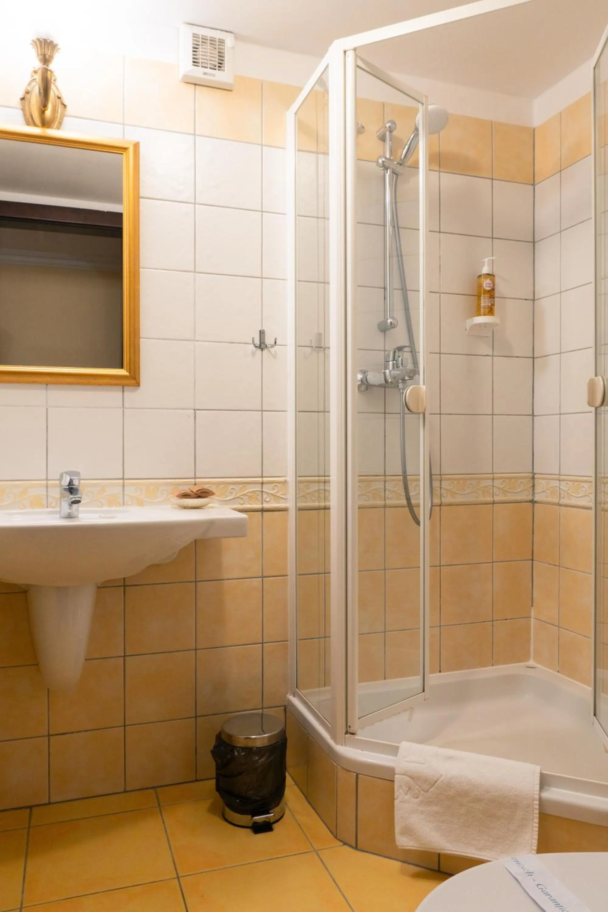 Casa del Sole Boutique Hotel Timisoara