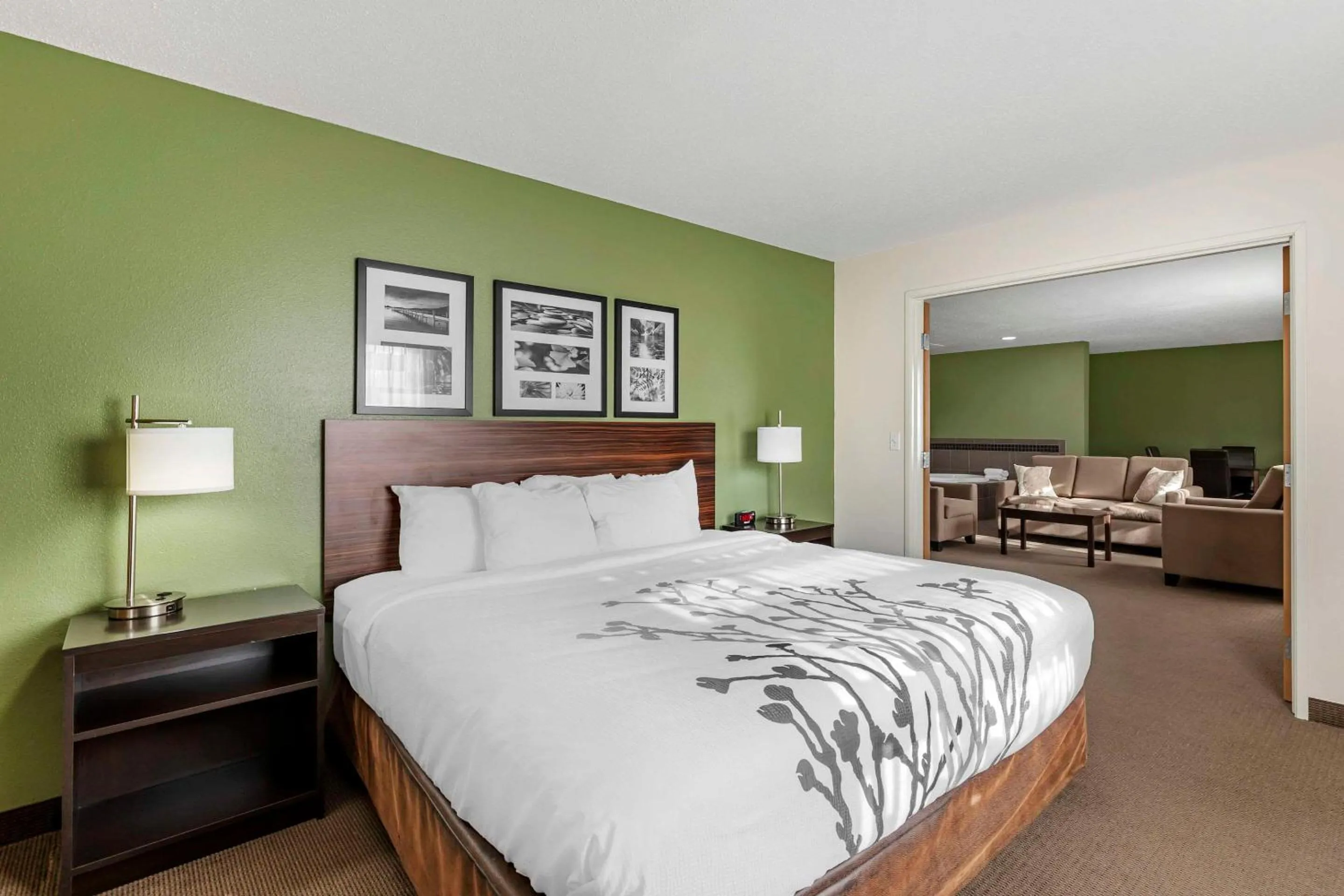 Bedroom, Bed in Sleep Inn & Suites Charles City