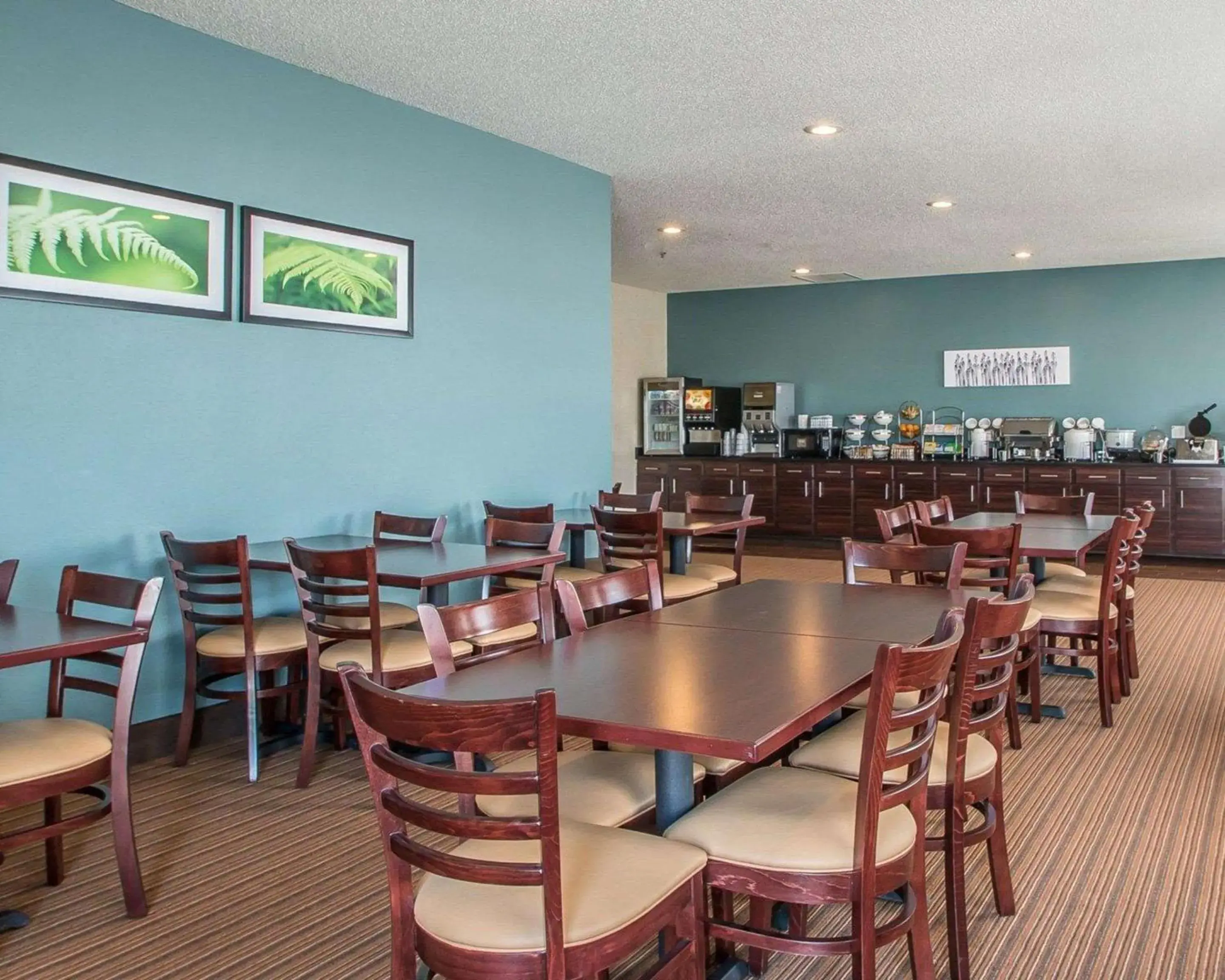 Restaurant/places to eat in Sleep Inn & Suites Mount Vernon Restaurant/places to eat in Sleep Inn & Suites Mount Vernon