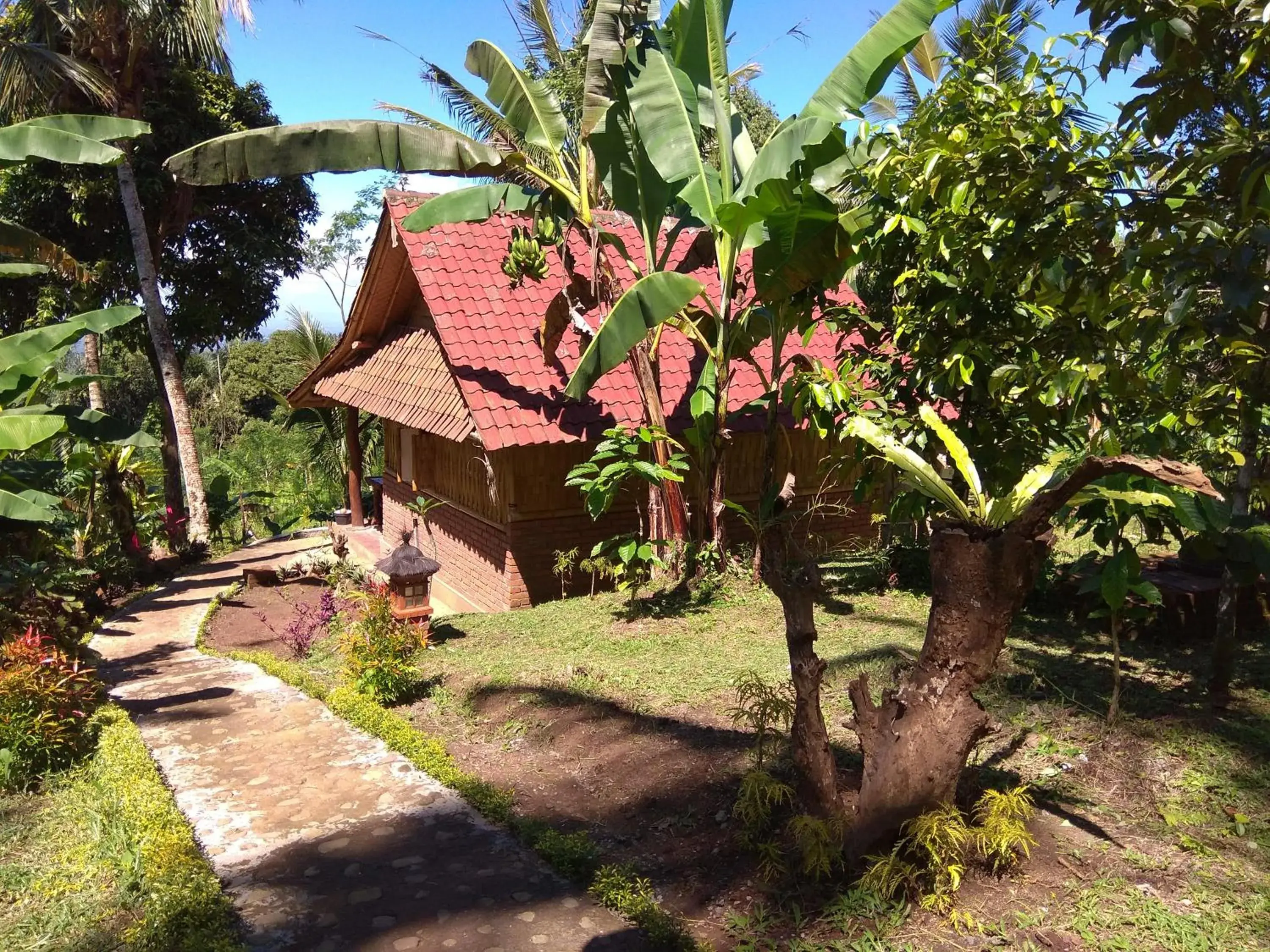 Bali mountain forest cabin Bali mountain forest cabin