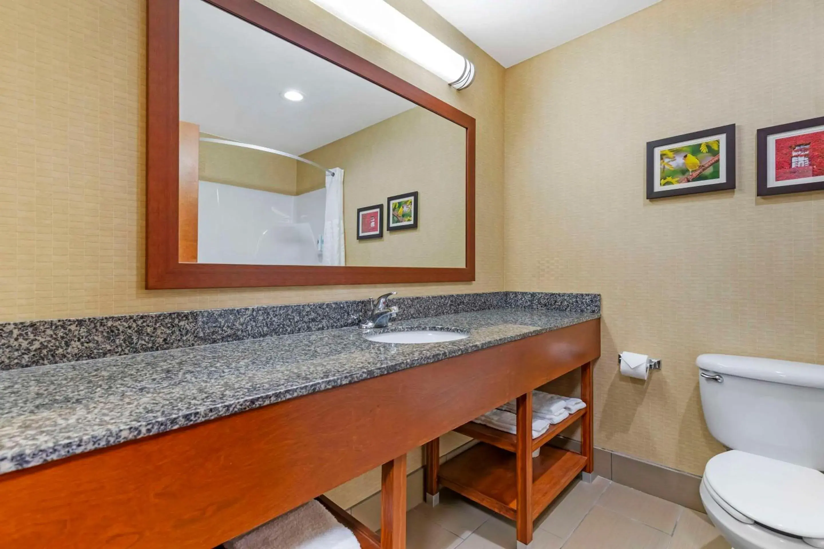 Bedroom in Comfort Inn & Suites Grinnell near I-80 Bedroom in Comfort Inn & Suites Grinnell near I-80