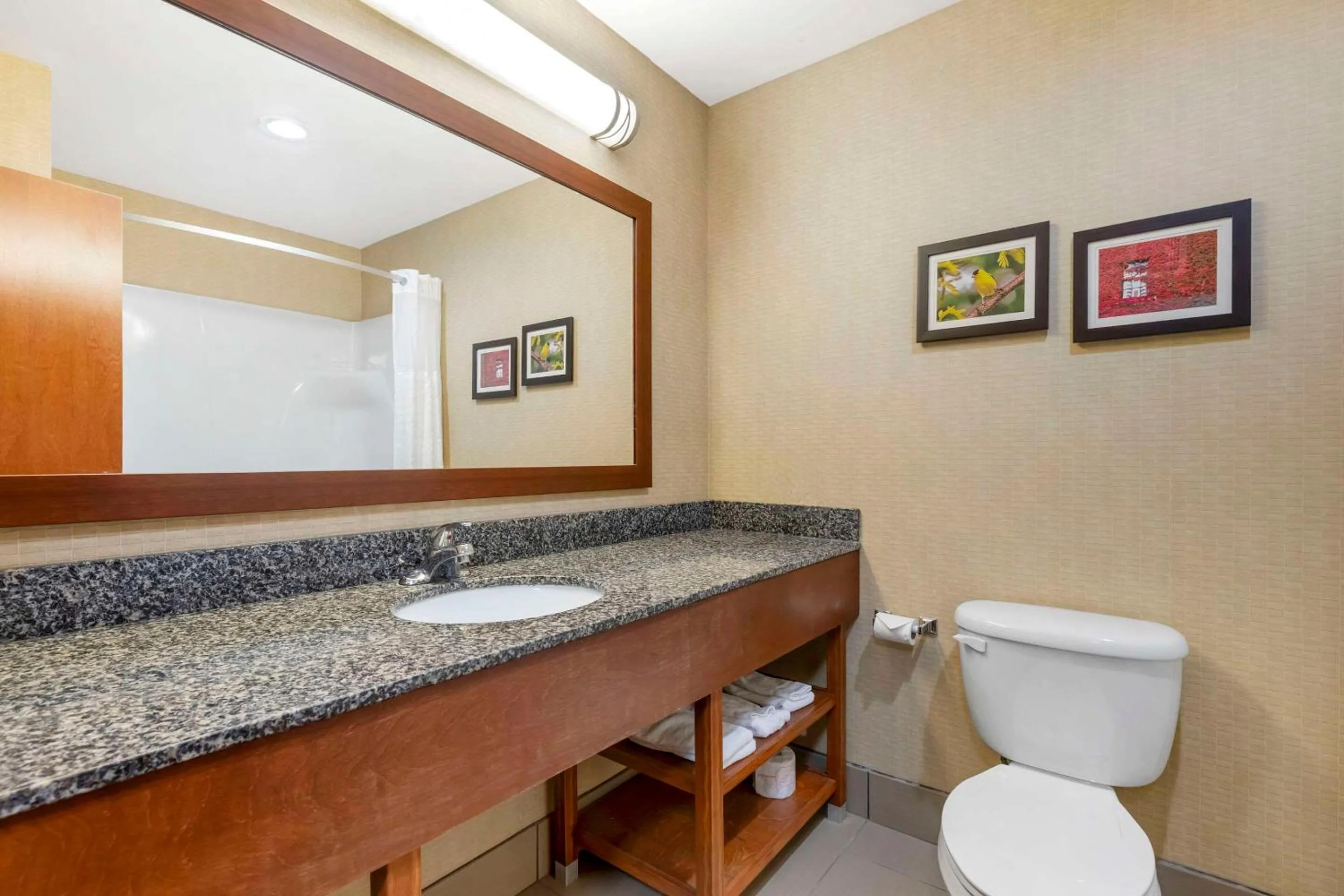 Bedroom in Comfort Inn & Suites Grinnell near I-80