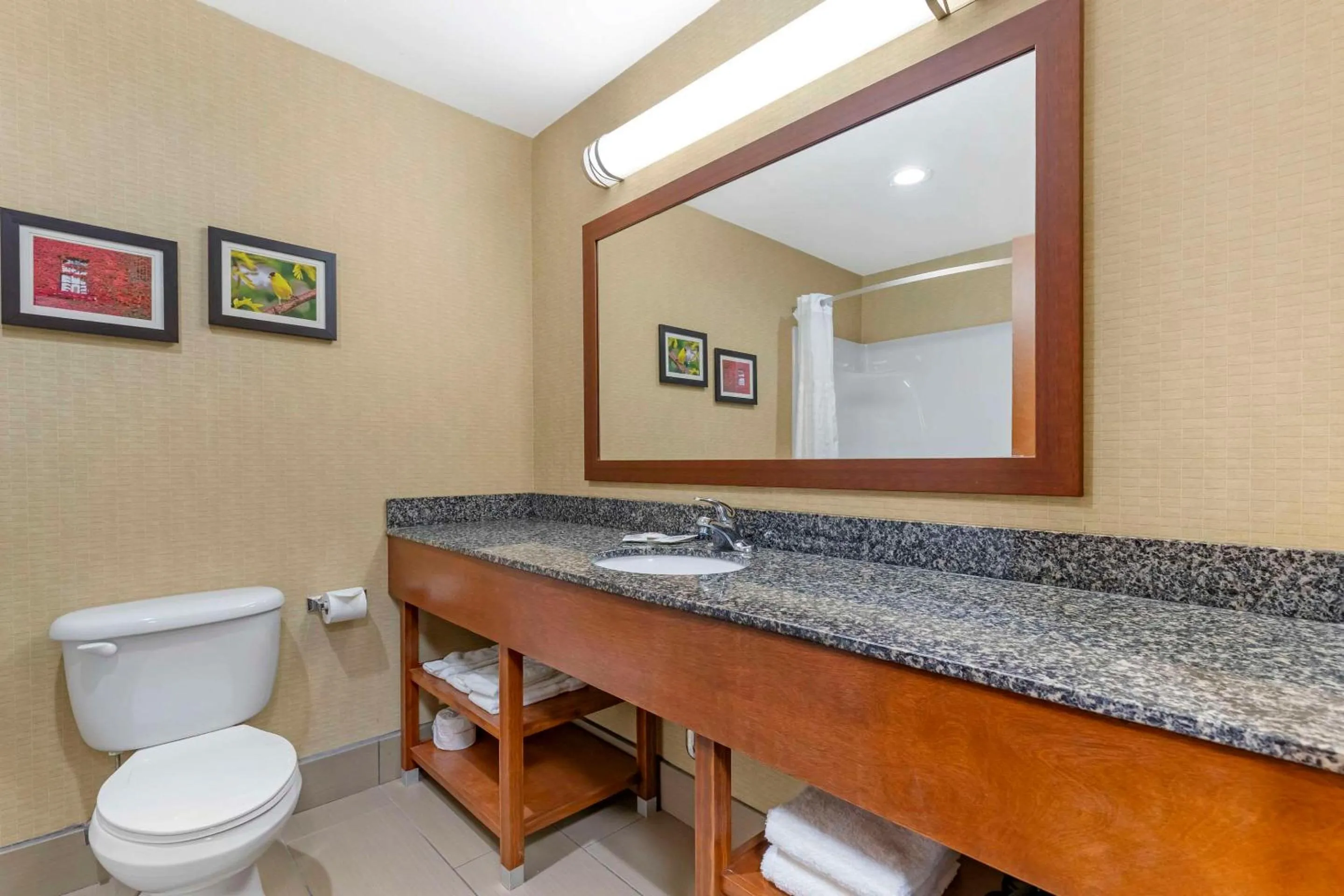 Bedroom in Comfort Inn & Suites Grinnell near I-80