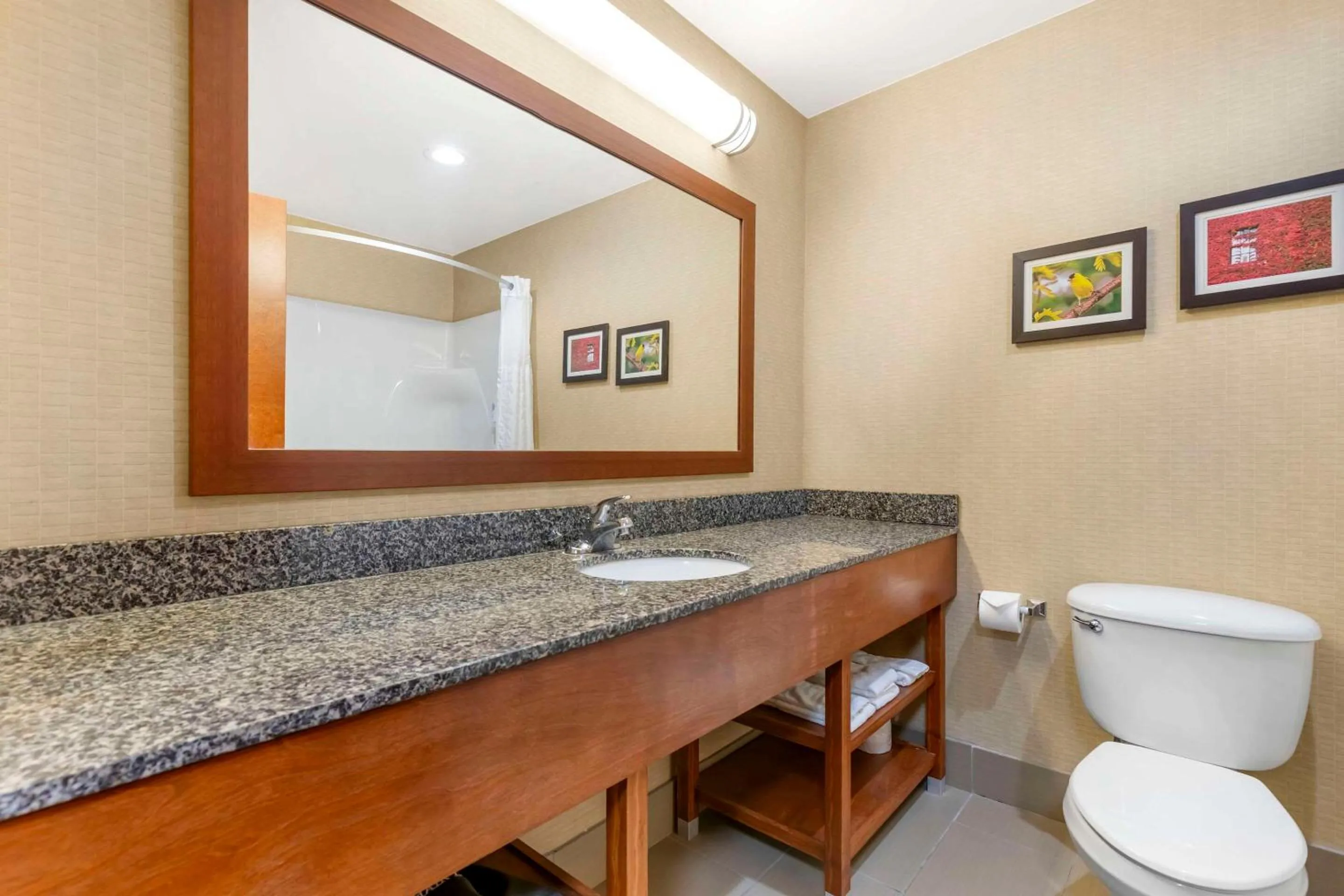 Bedroom in Comfort Inn & Suites Grinnell near I-80