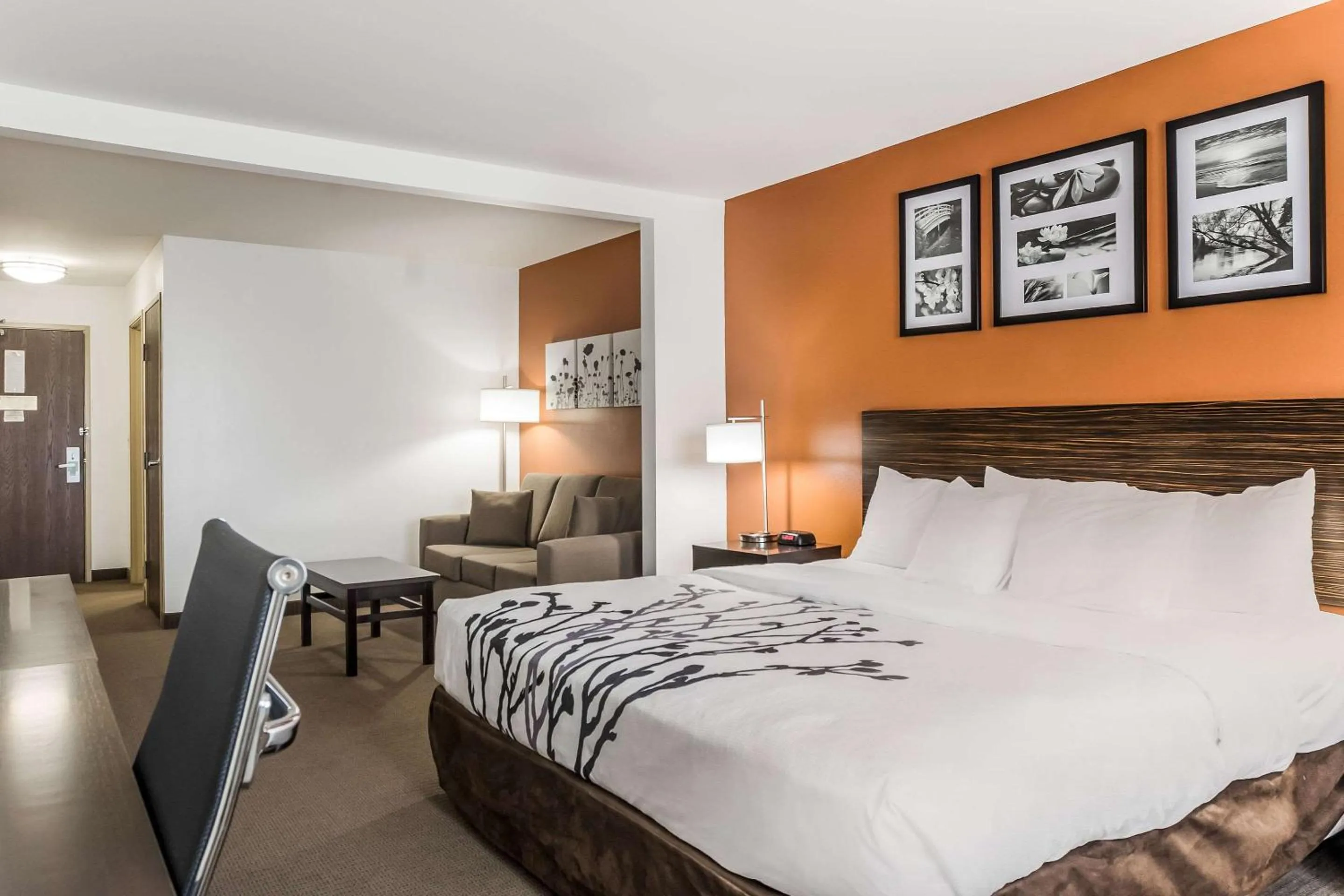 Photo of the whole room, Bed in Sleep Inn & Suites North Liberty - Liberty City