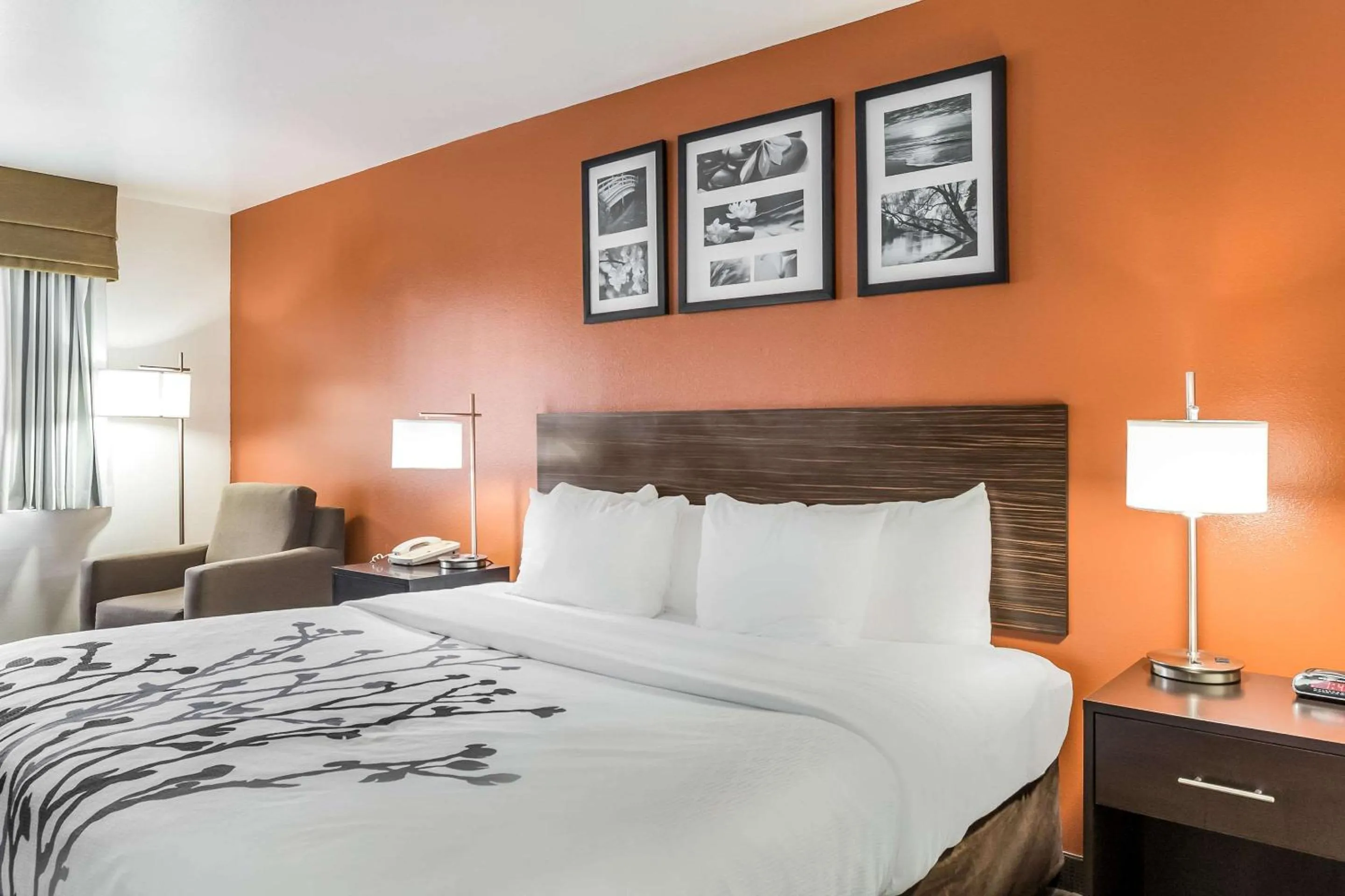 Photo of the whole room, Bed in Sleep Inn & Suites North Liberty - Liberty City