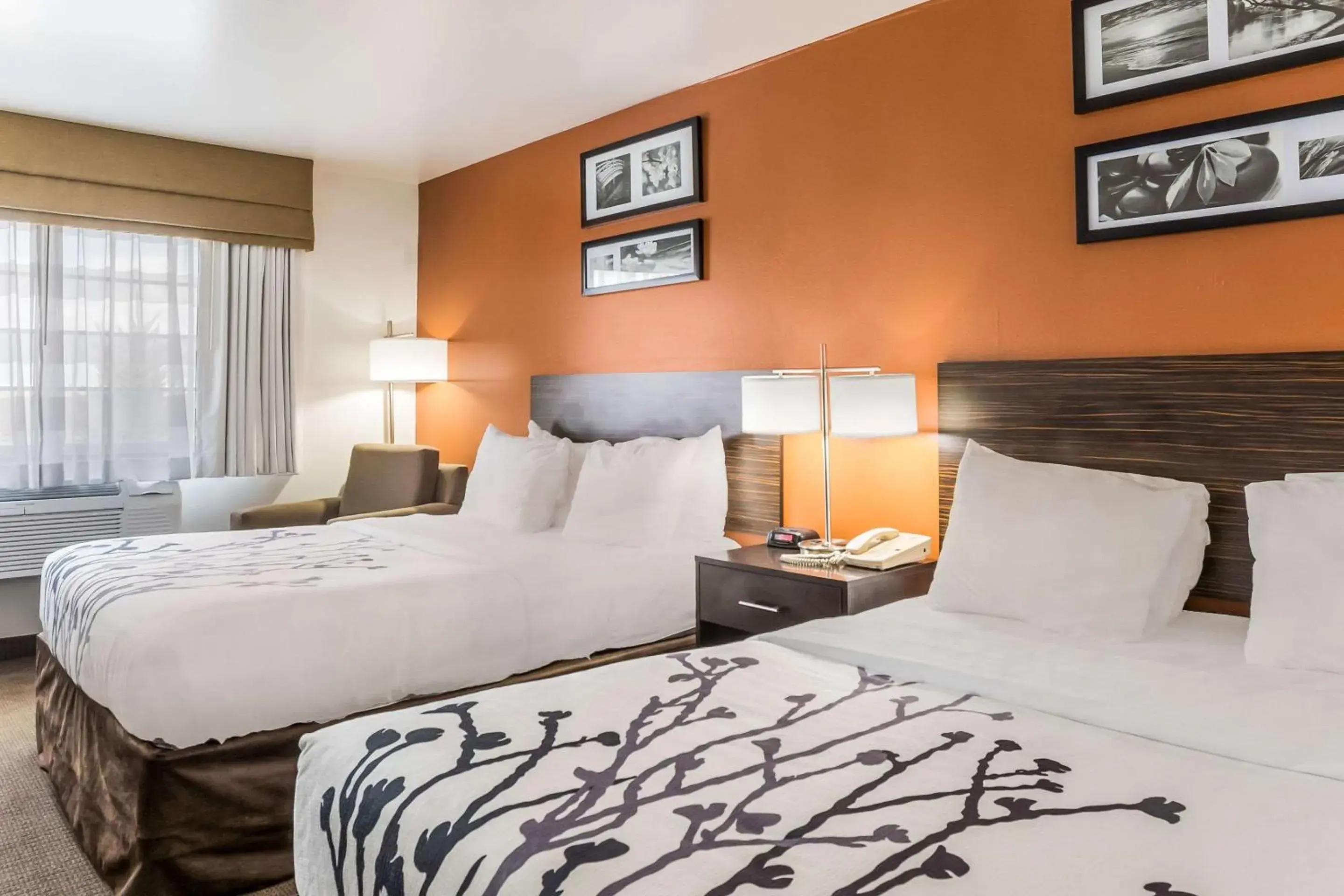 Queen Room with Two Queen Beds - Accessible/Non-Smoking in Sleep Inn & Suites North Liberty - Liberty City Queen Room with Two Queen Beds - Accessible/Non-Smoking in Sleep Inn & Suites North Liberty - Liberty City