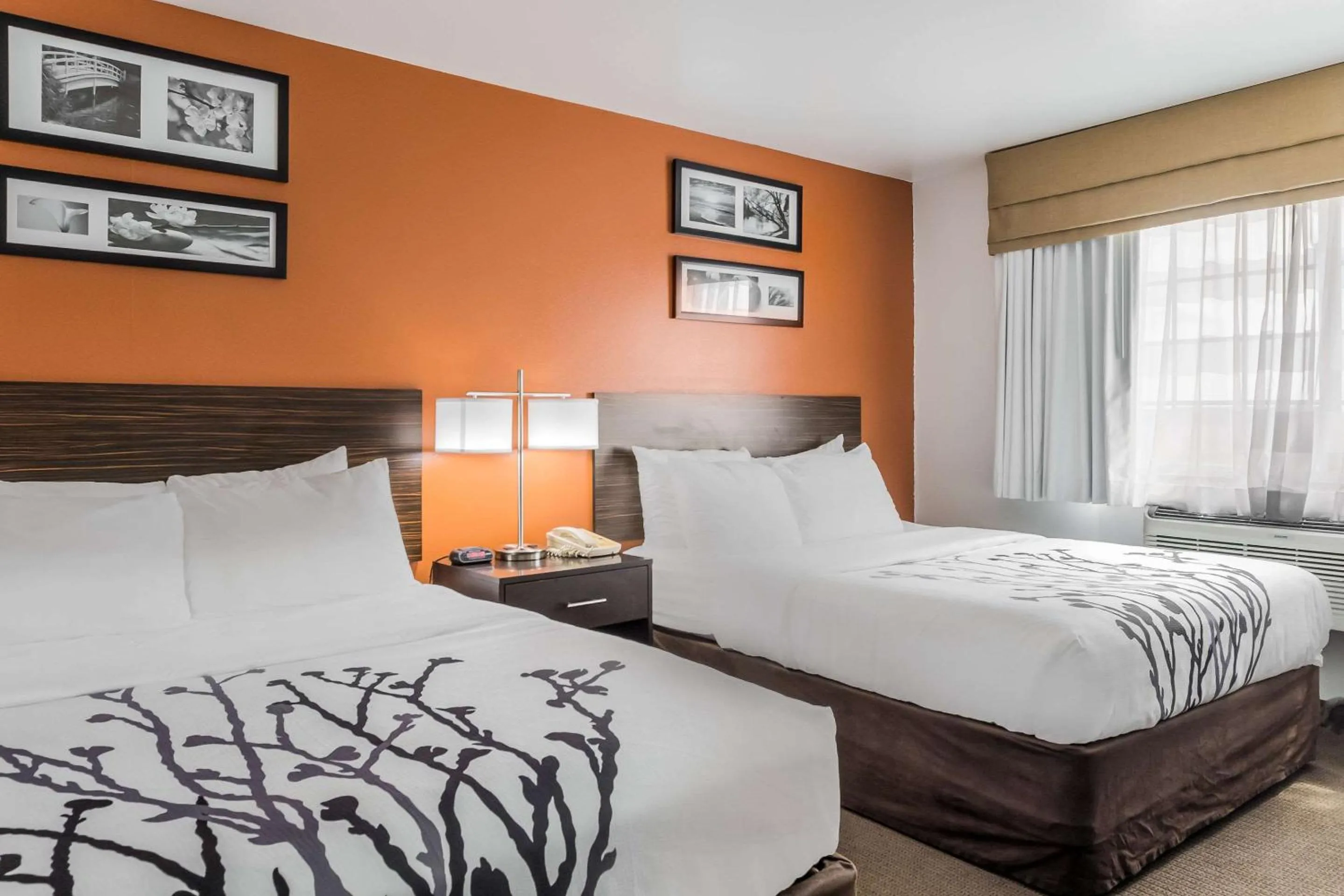 Photo of the whole room, Bed in Sleep Inn & Suites North Liberty - Liberty City