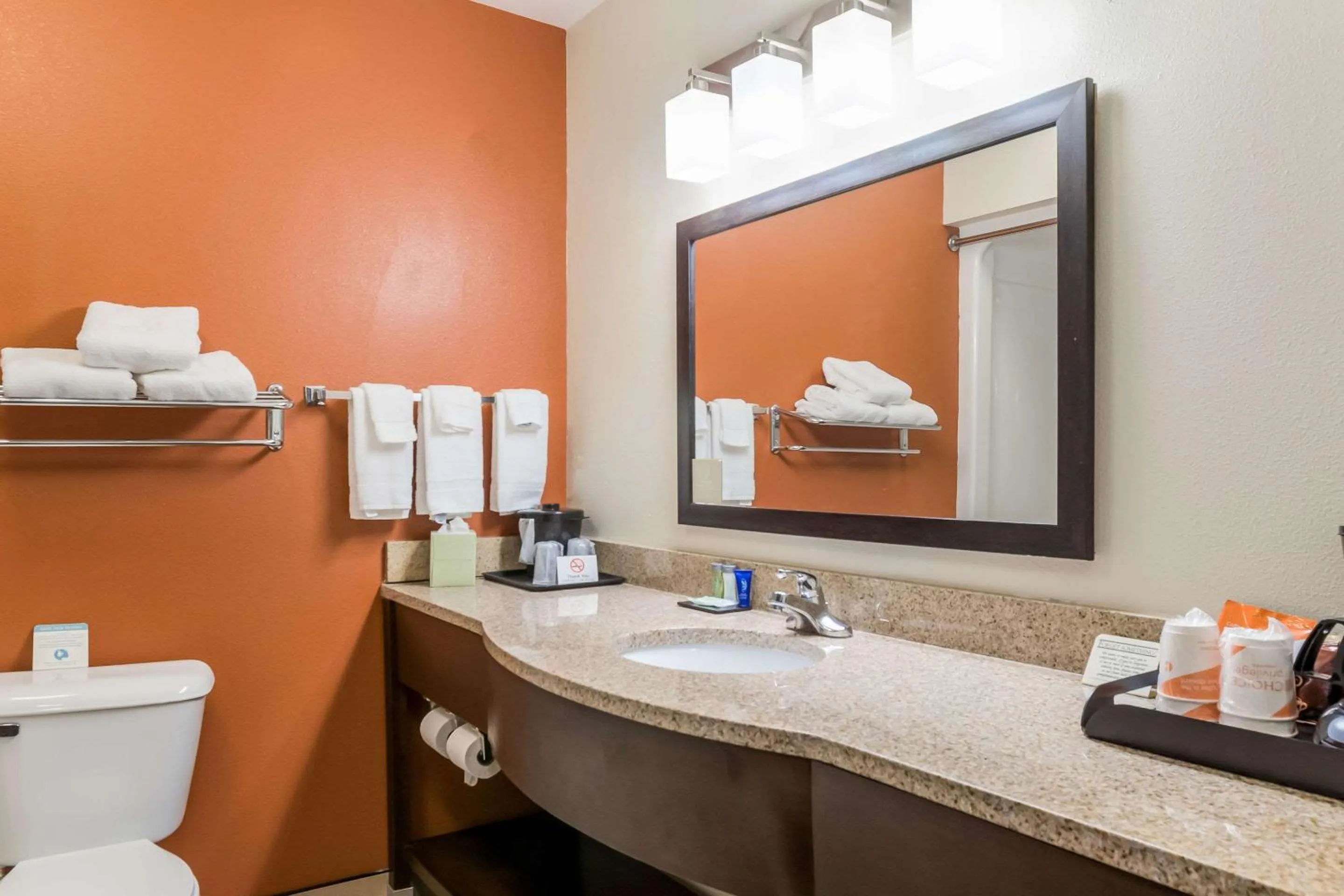 Bathroom in Sleep Inn & Suites North Liberty - Liberty City