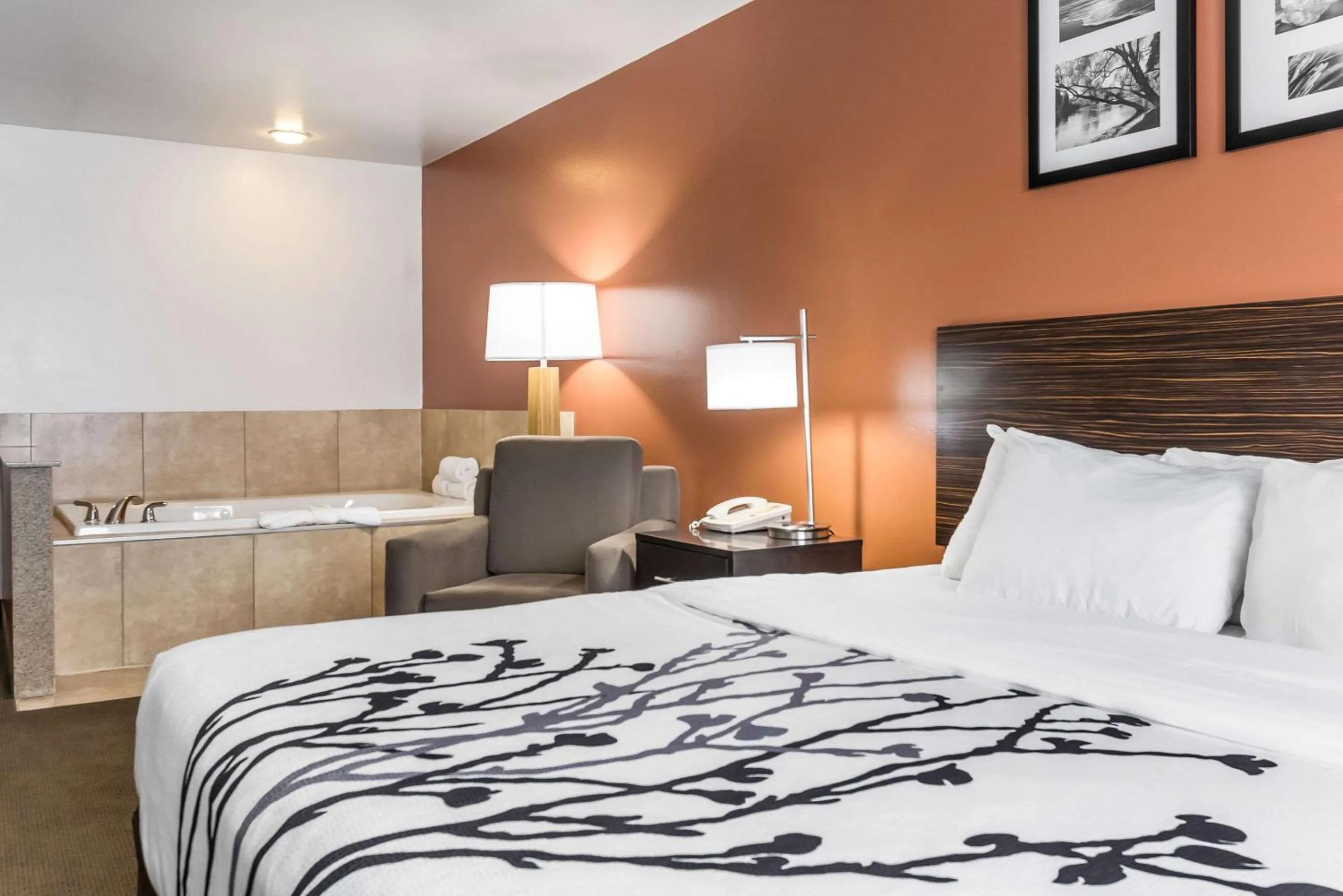 Photo of the whole room, Bed in Sleep Inn & Suites North Liberty - Liberty City