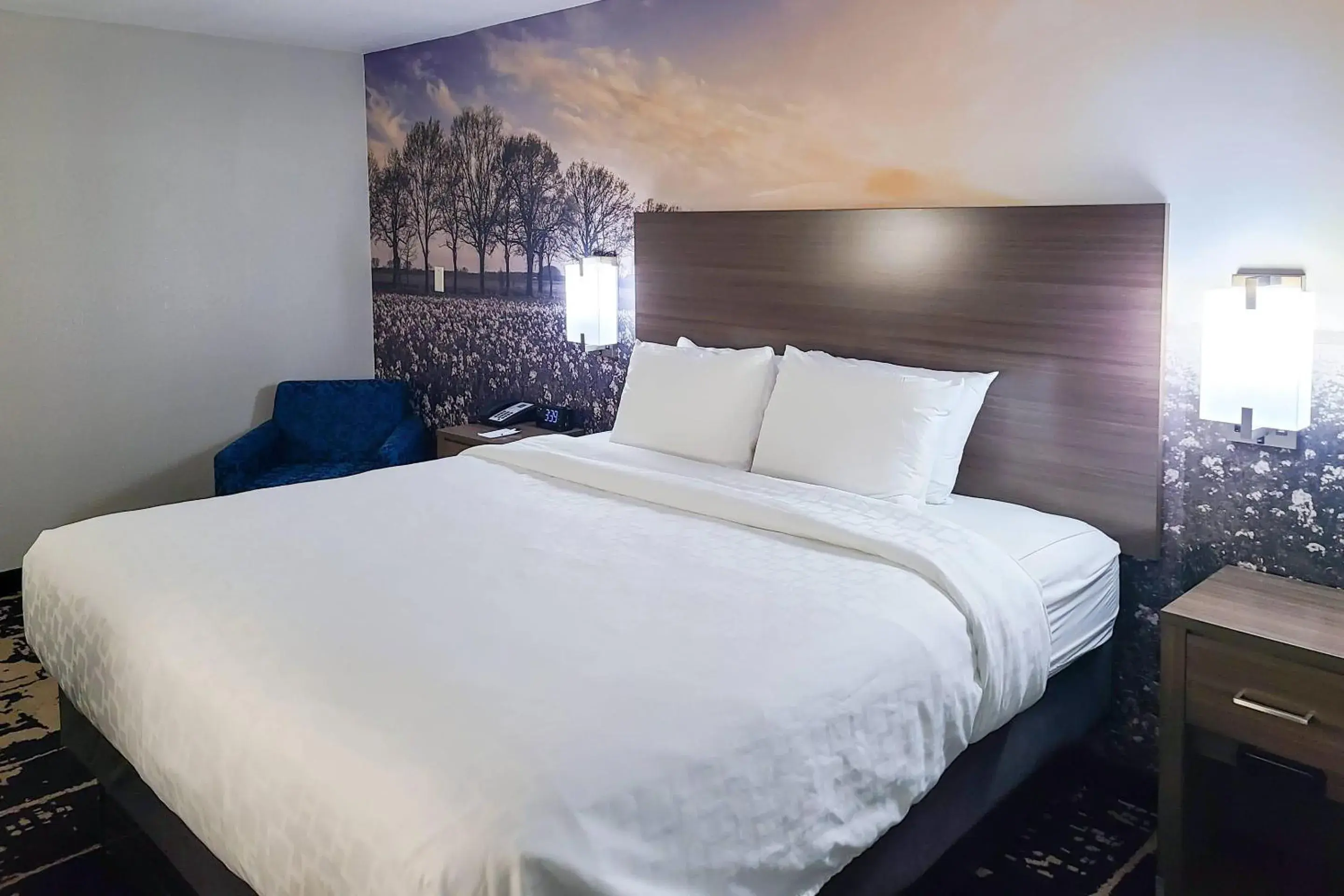 Bedroom, Bed in Clarion Pointe Bettendorf - Quad Cities Bedroom, Bed in Clarion Pointe Bettendorf - Quad Cities