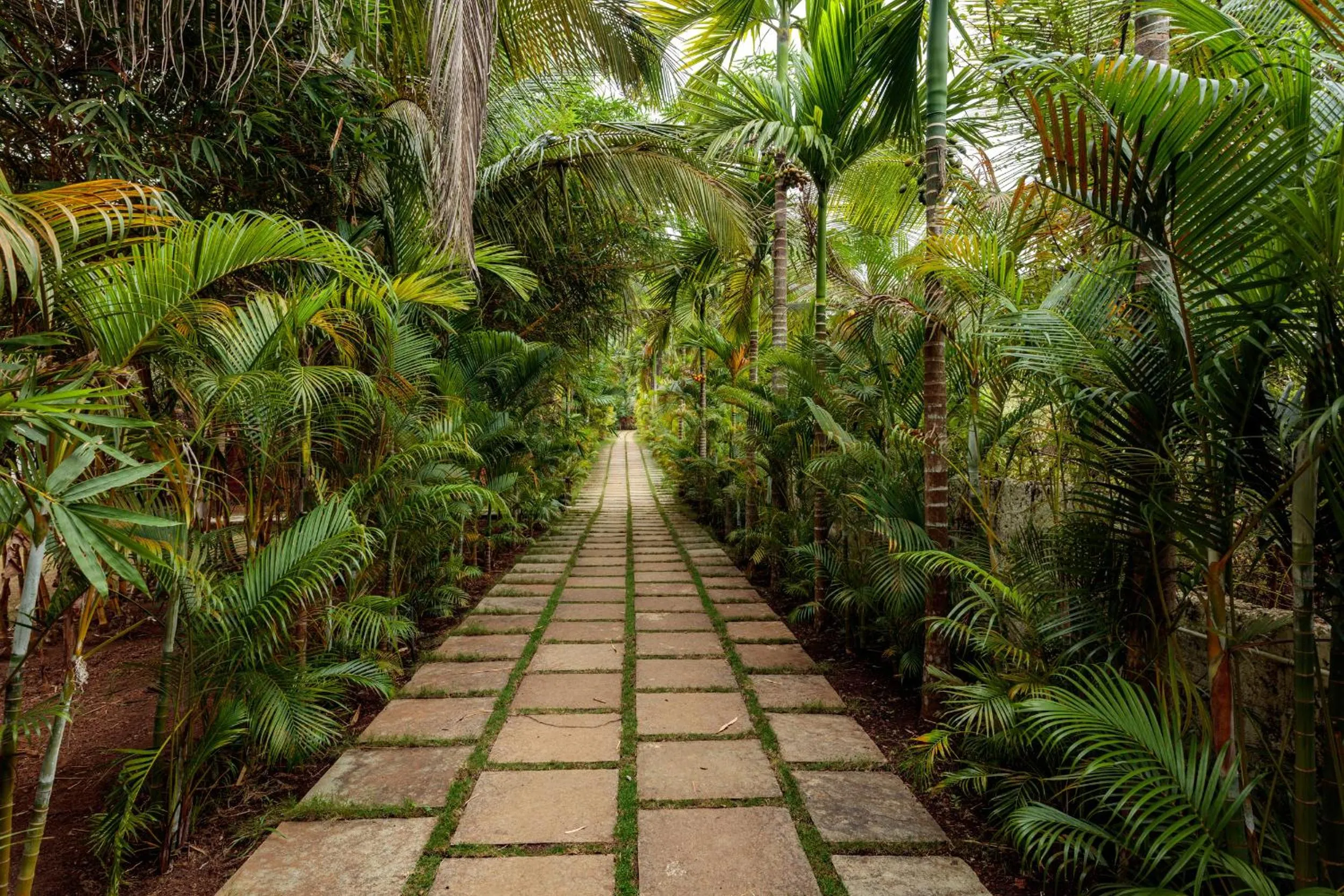 Garden view in Wild Berry Resort Agonda