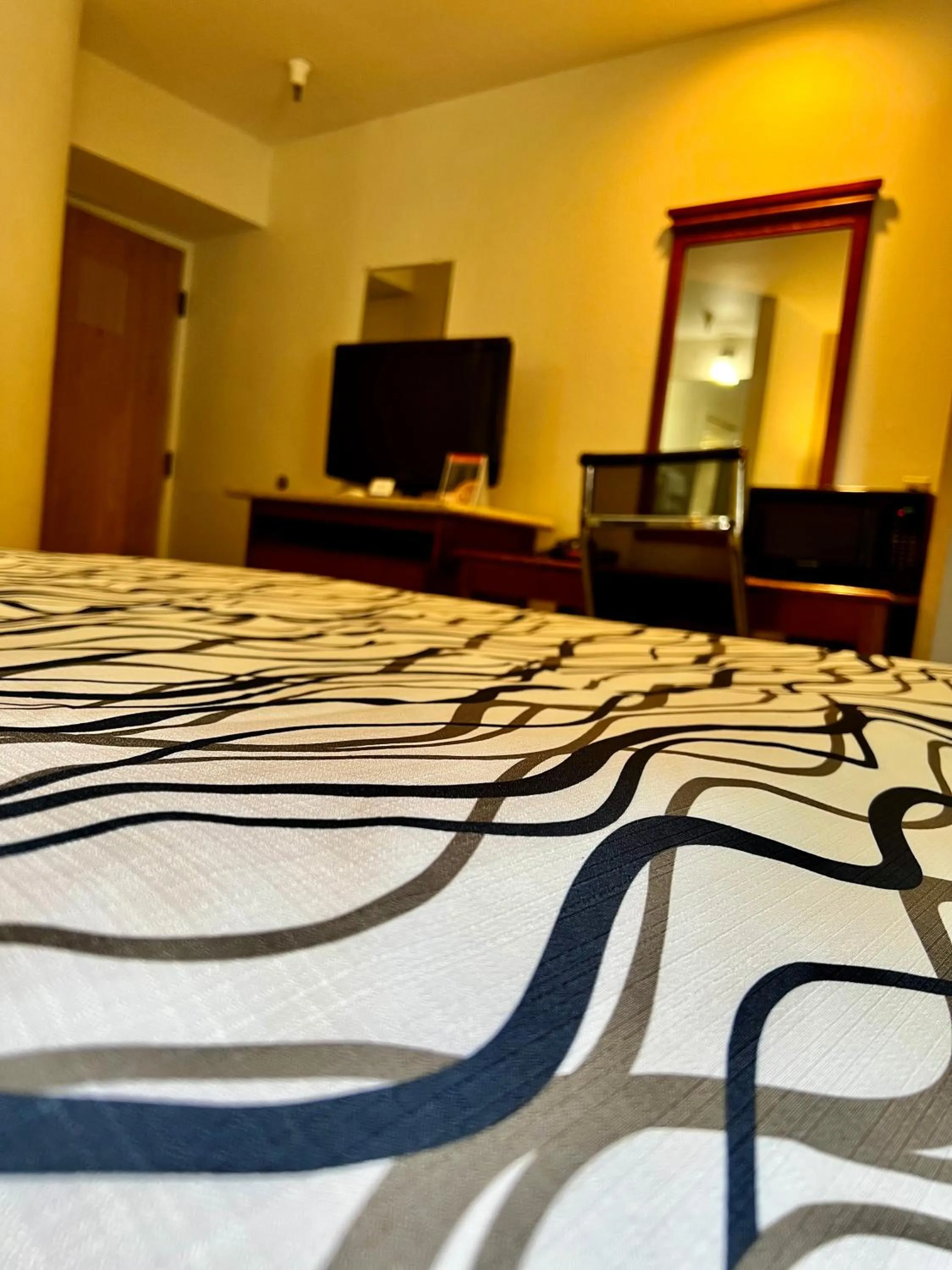 TV and multimedia, Bed in Rodeway Inn Boise Airport