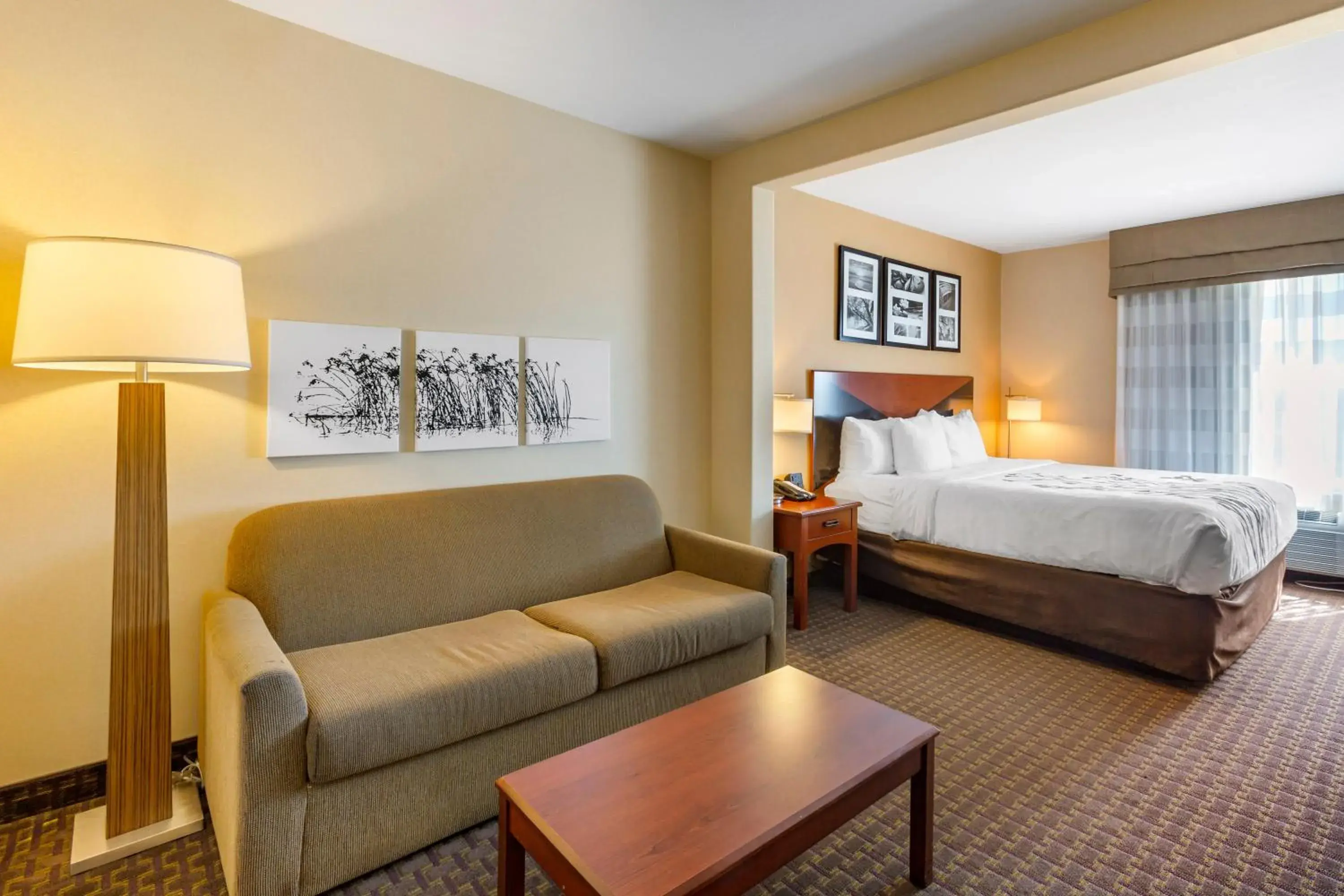 King Room with Walk-in Shower - Non-Smoking/Pet-Friendly in Garner Hotel Idaho Falls Southwest by IHG King Room with Walk-in Shower - Non-Smoking/Pet-Friendly in Garner Hotel Idaho Falls Southwest by IHG