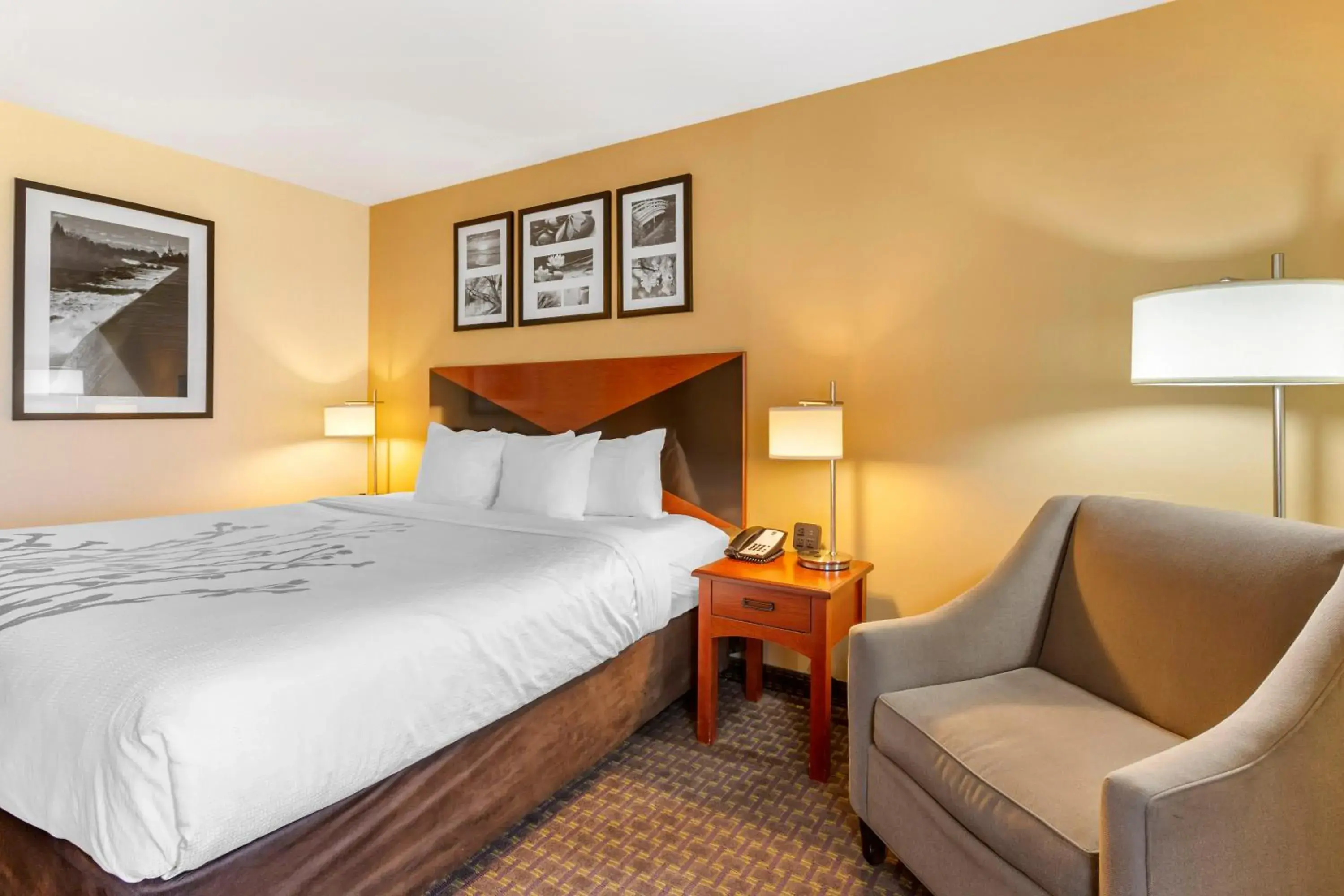 King Suite - Non-Smoking/Pet-Friendly in Garner Hotel Idaho Falls Southwest by IHG King Suite - Non-Smoking/Pet-Friendly in Garner Hotel Idaho Falls Southwest by IHG
