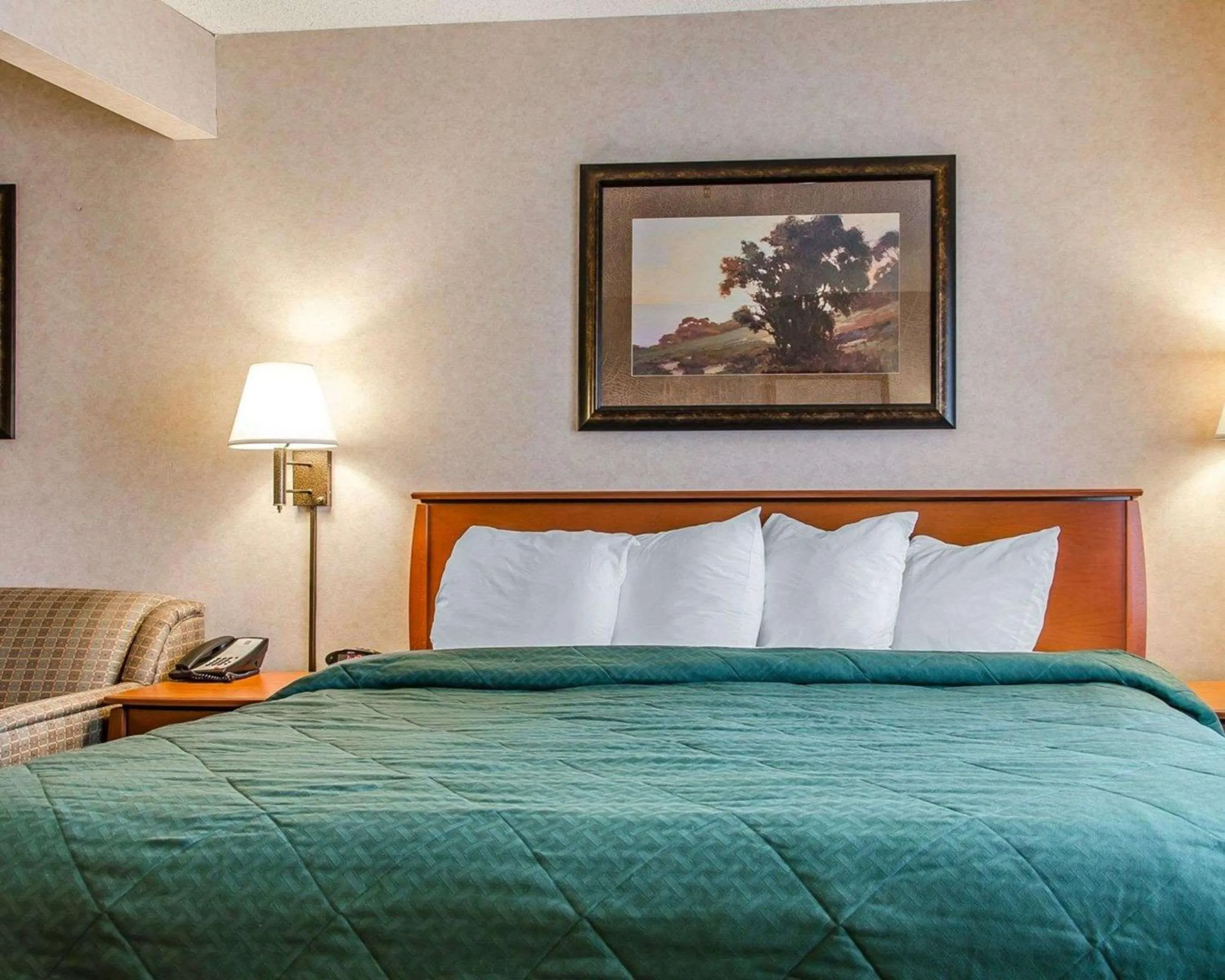 Photo of the whole room, Bed in Quality Inn & Suites Twin Falls North