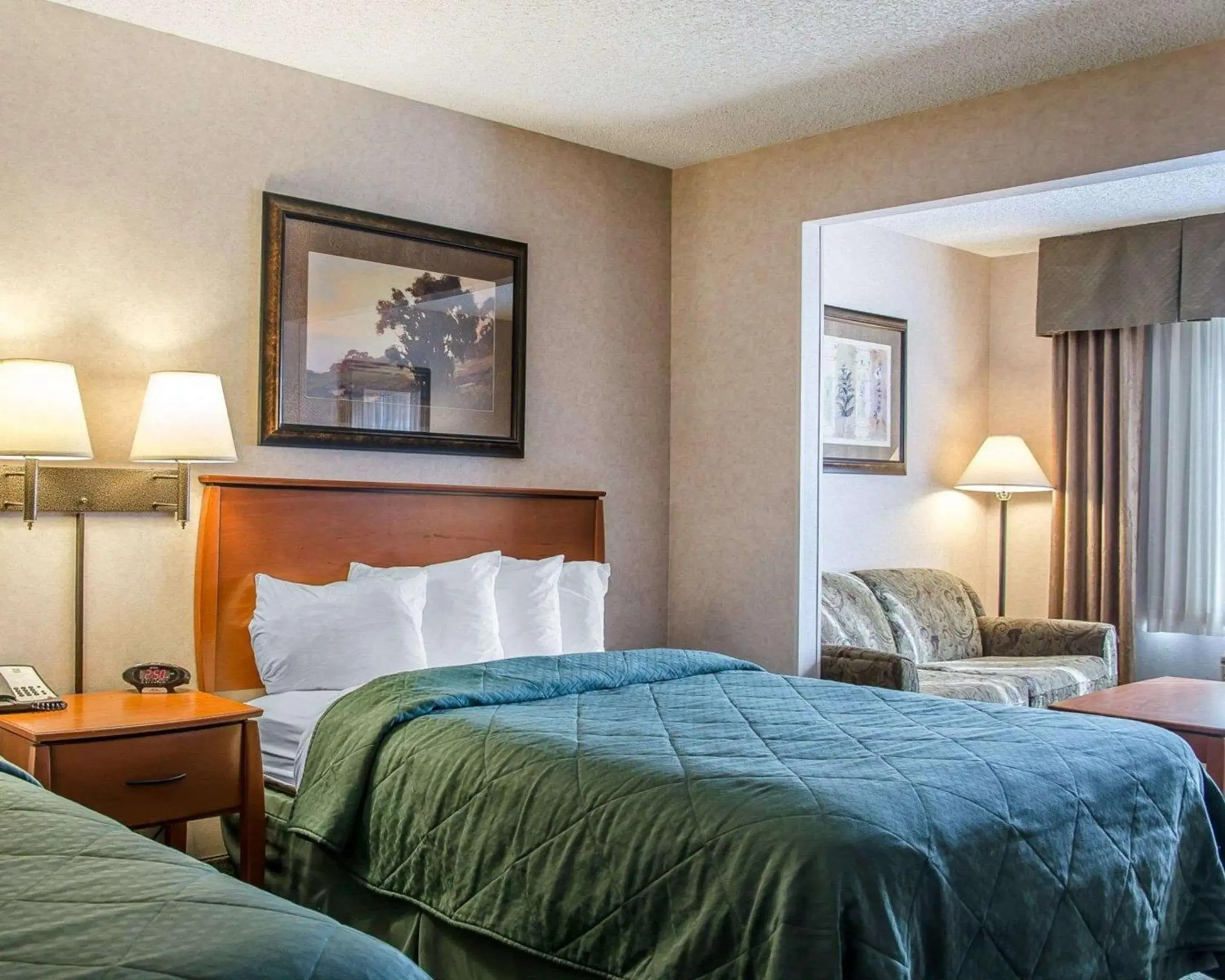 Photo of the whole room, Bed in Quality Inn & Suites Photo of the whole room, Bed in Quality Inn & Suites