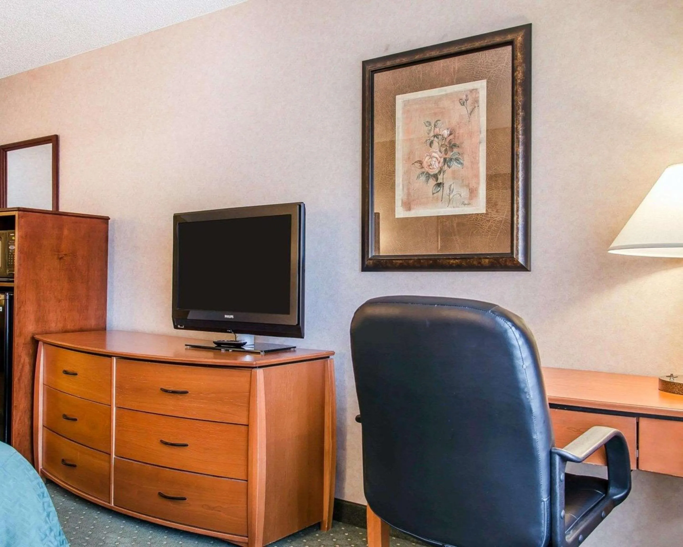 Photo of the whole room in Quality Inn & Suites Twin Falls North