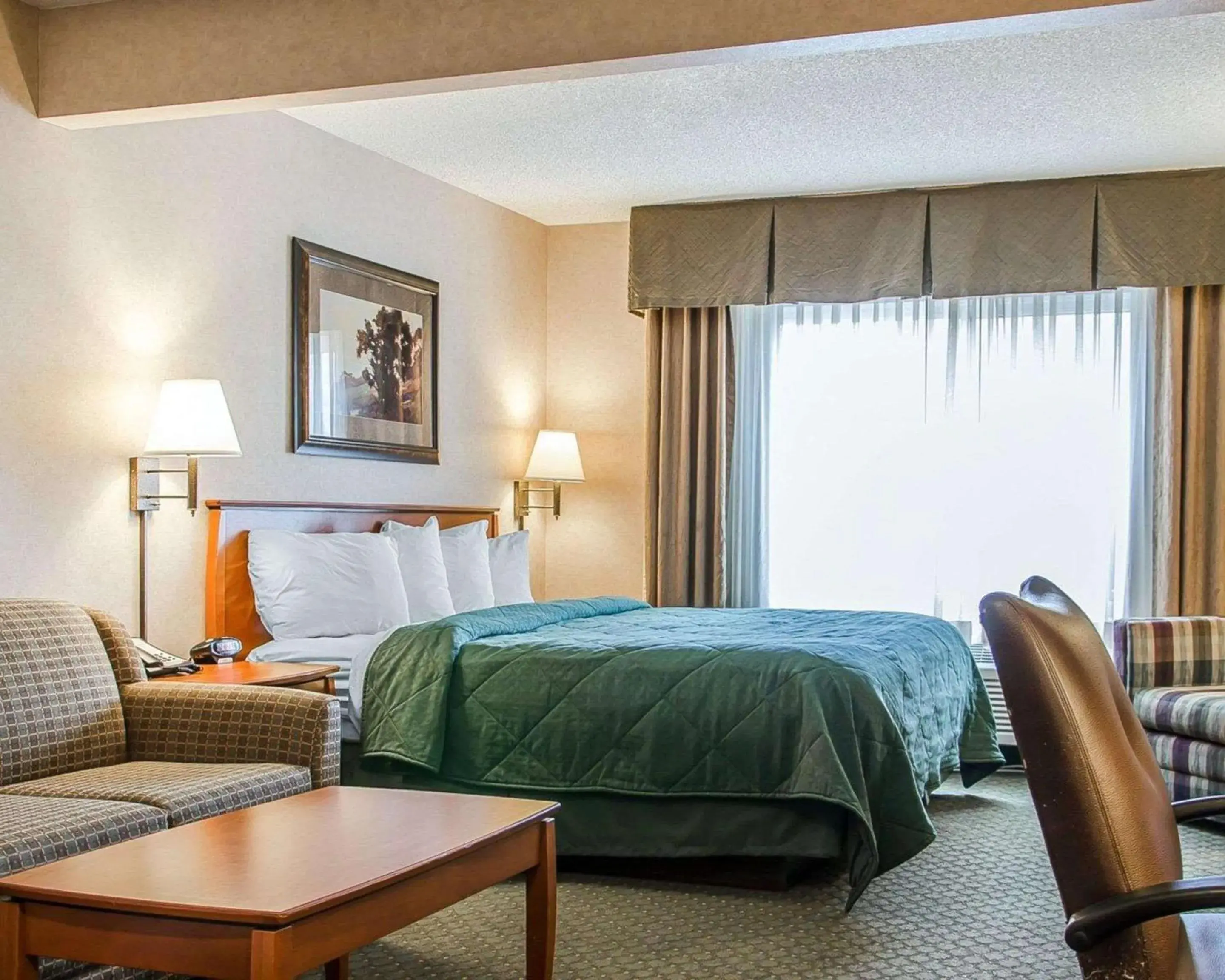 Photo of the whole room, Bed in Quality Inn & Suites Photo of the whole room, Bed in Quality Inn & Suites