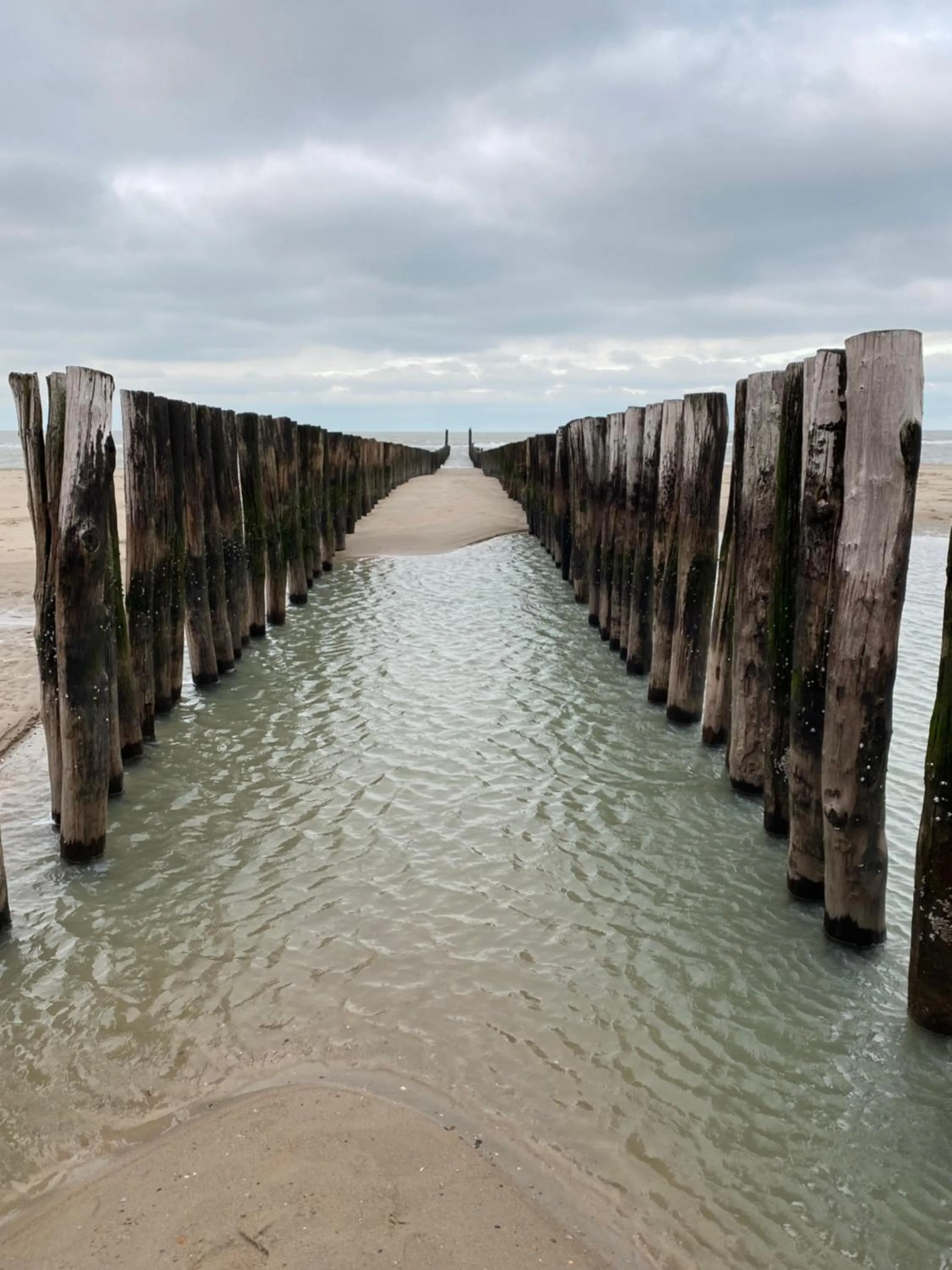 B&B Boerderij De Vaete - Duurzaam genieten in de zak van Zuid-Beveland