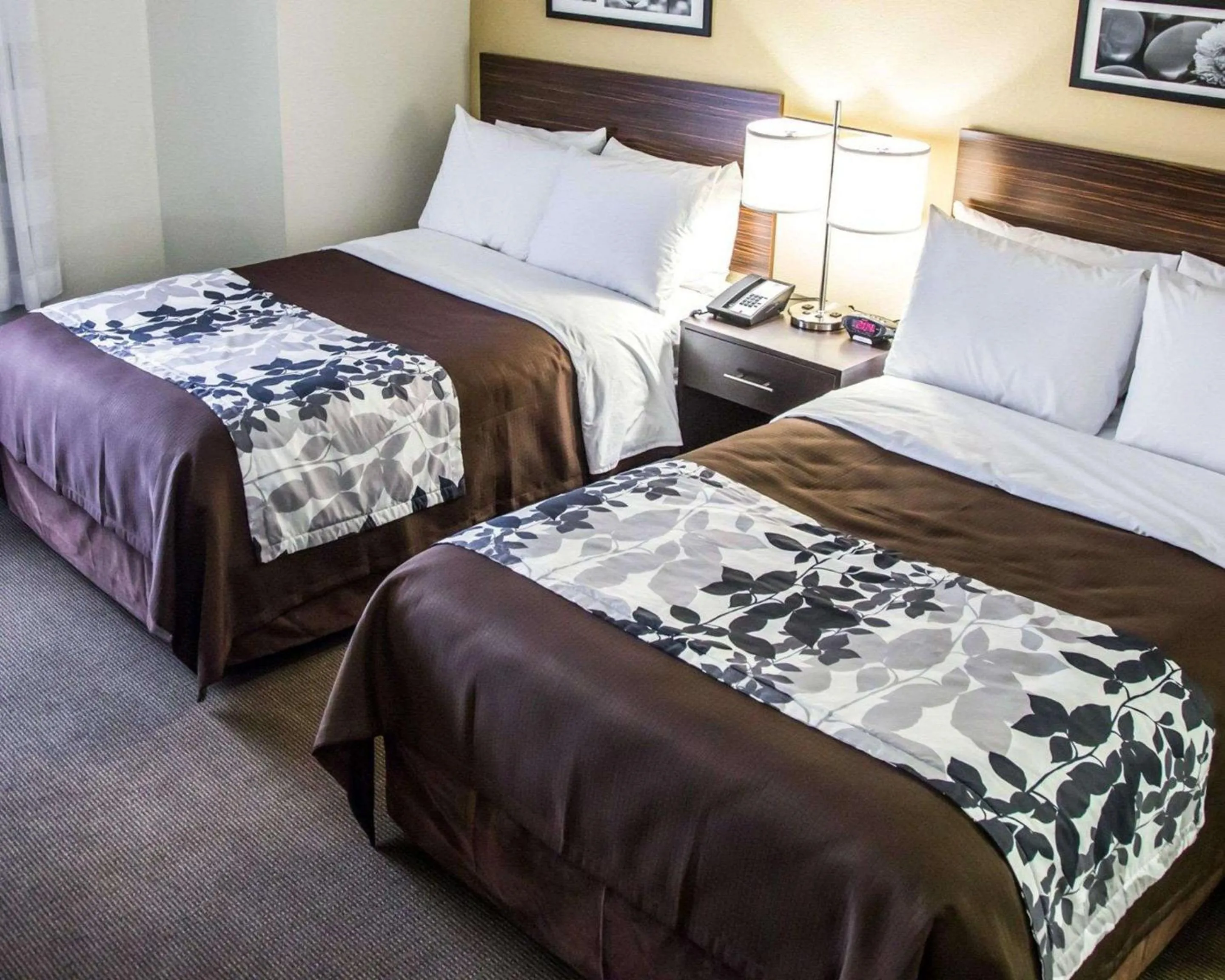 Bedroom, Bed in Sleep Inn Tinley Park I-80 near Amphitheatre-Convention Center