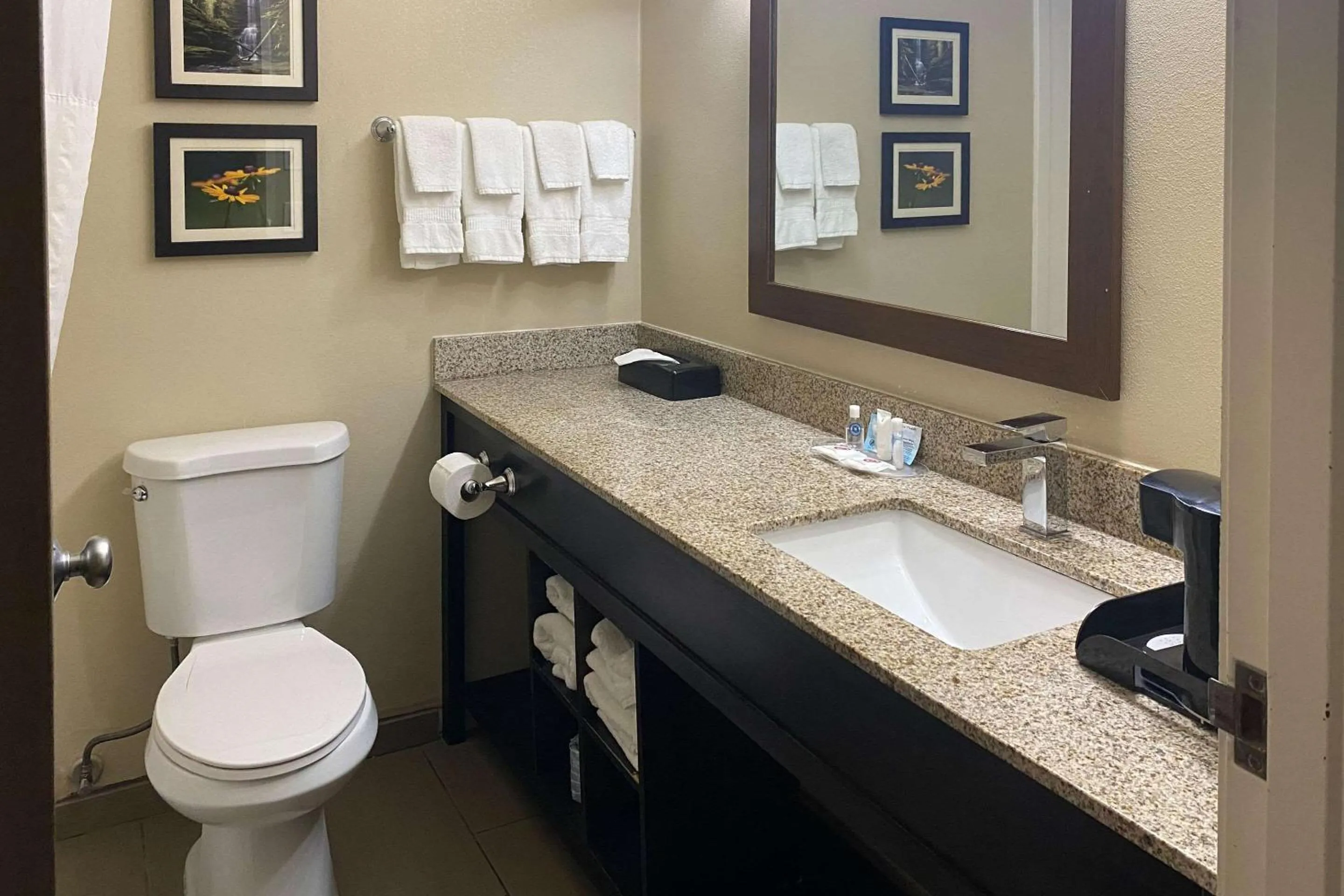 Bedroom in Comfort Suites Peoria I-74