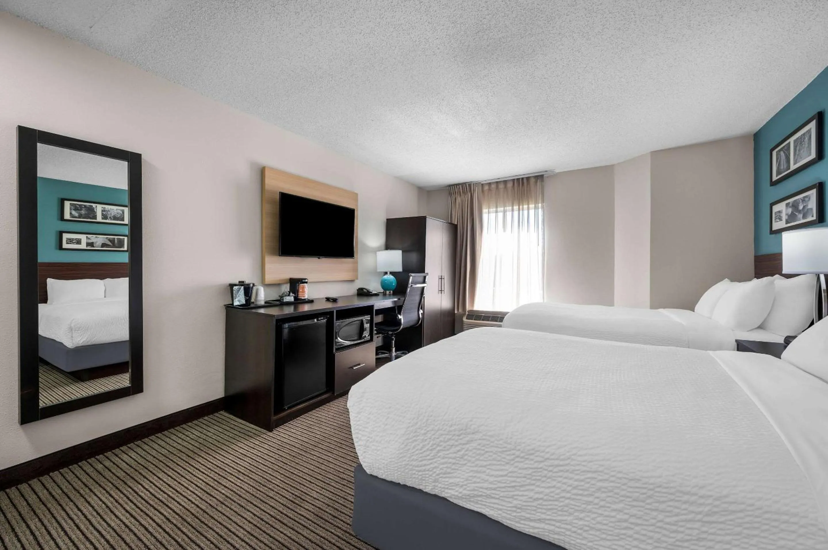 Bedroom, Bed in Sleep Inn Springfield West