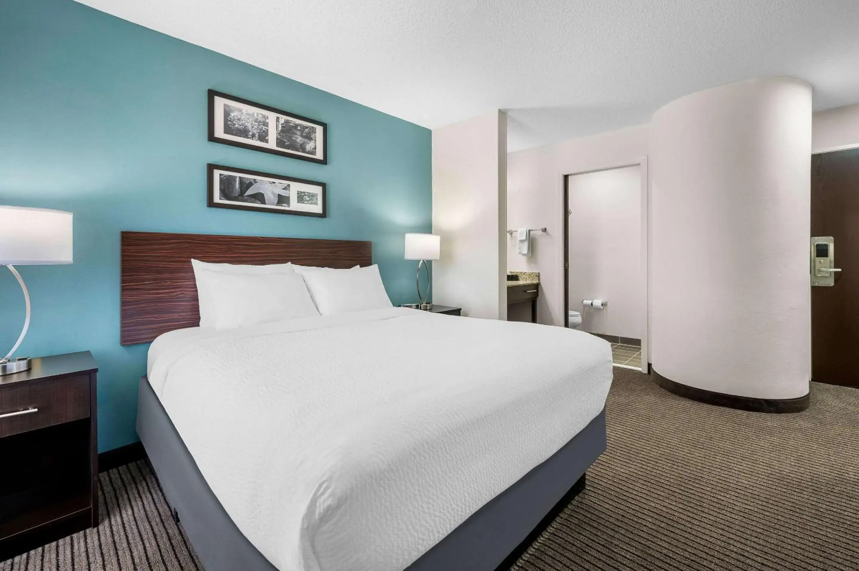 Bedroom, Bed in Sleep Inn Springfield West Bedroom, Bed in Sleep Inn Springfield West