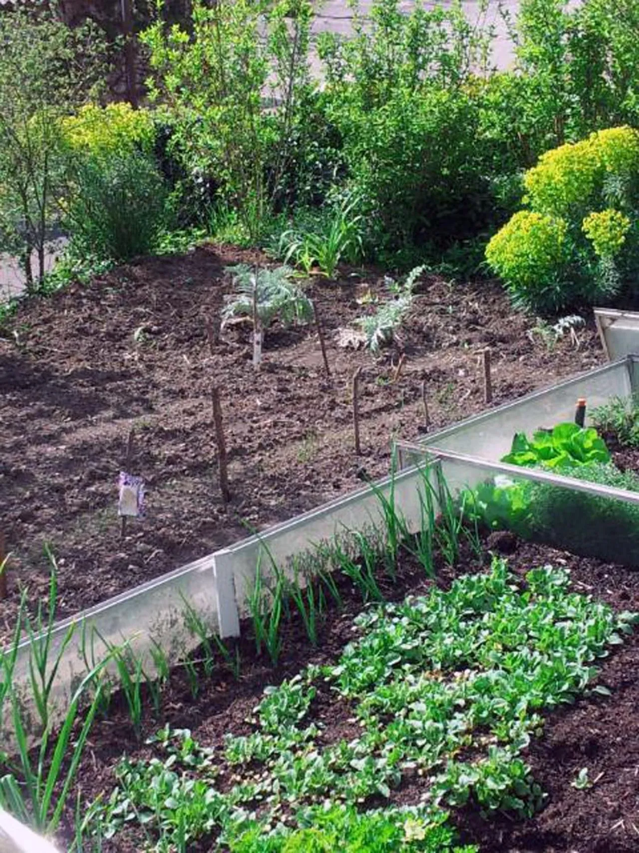 Garden view in LA PROVIDENCE, chambres d'hôtes